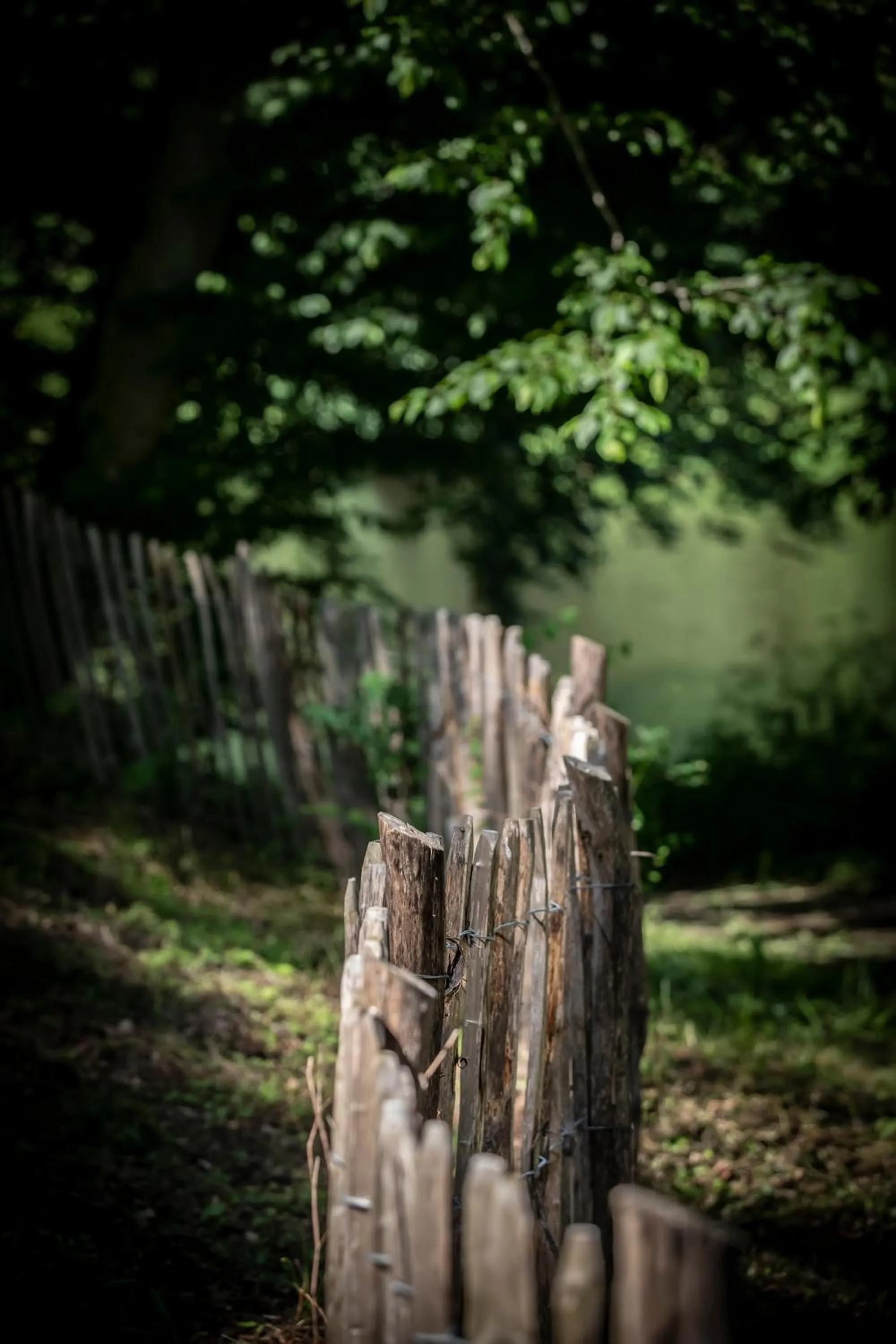 Garden in Château du Pont d'Oye