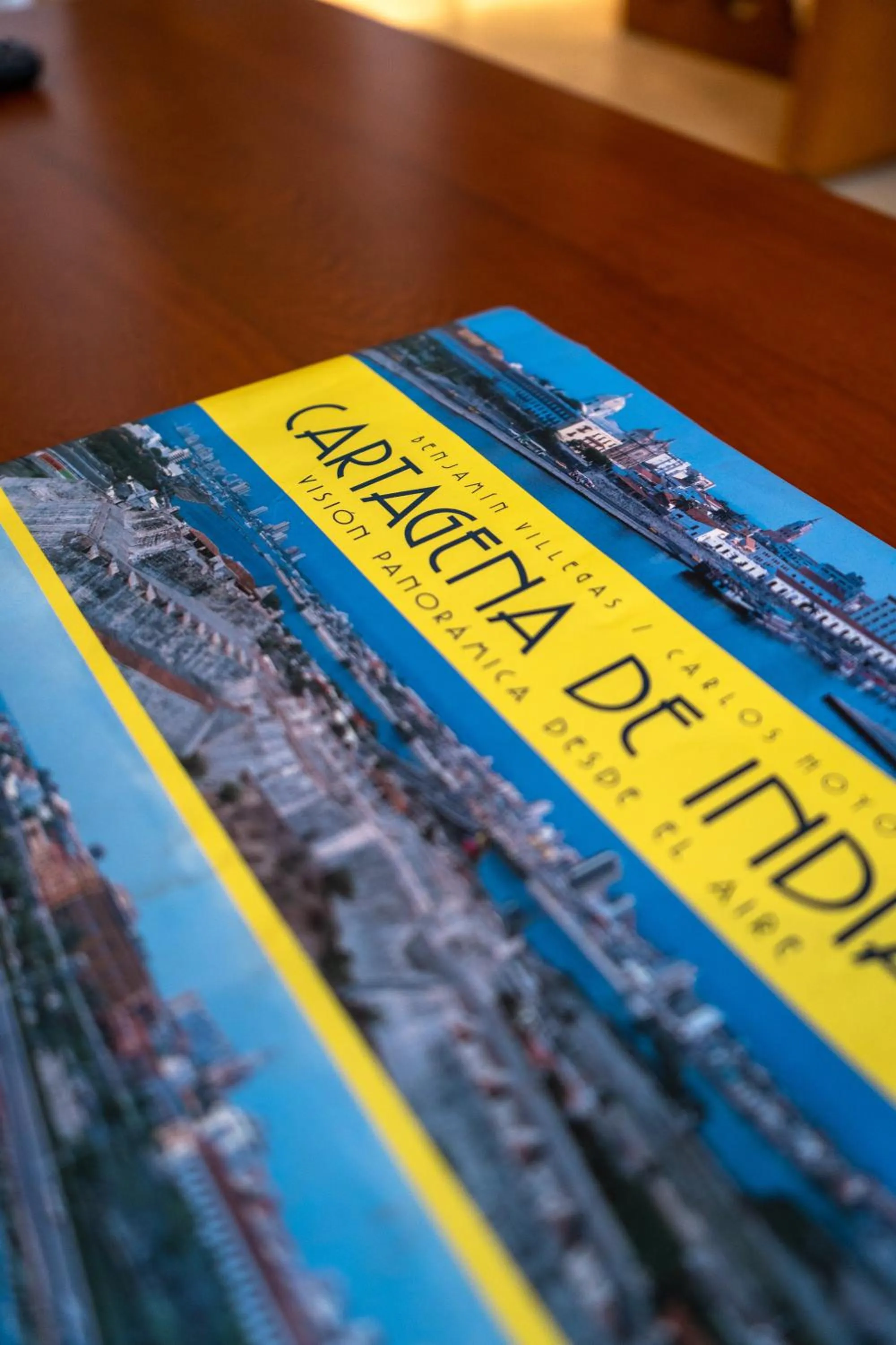 Decorative detail in Ganem Suites Cartagena