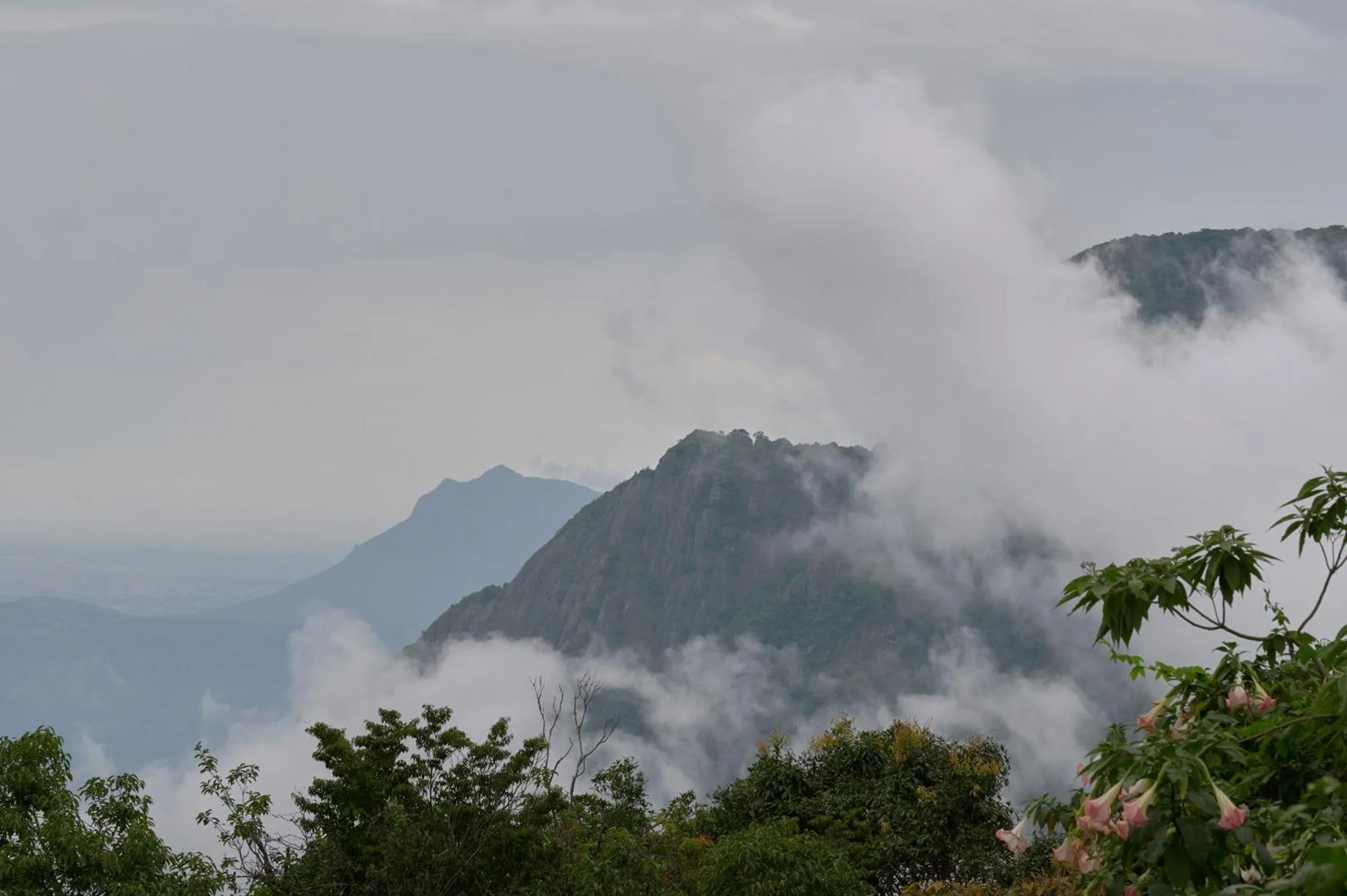 Day in De Rock Jungle Living Resort