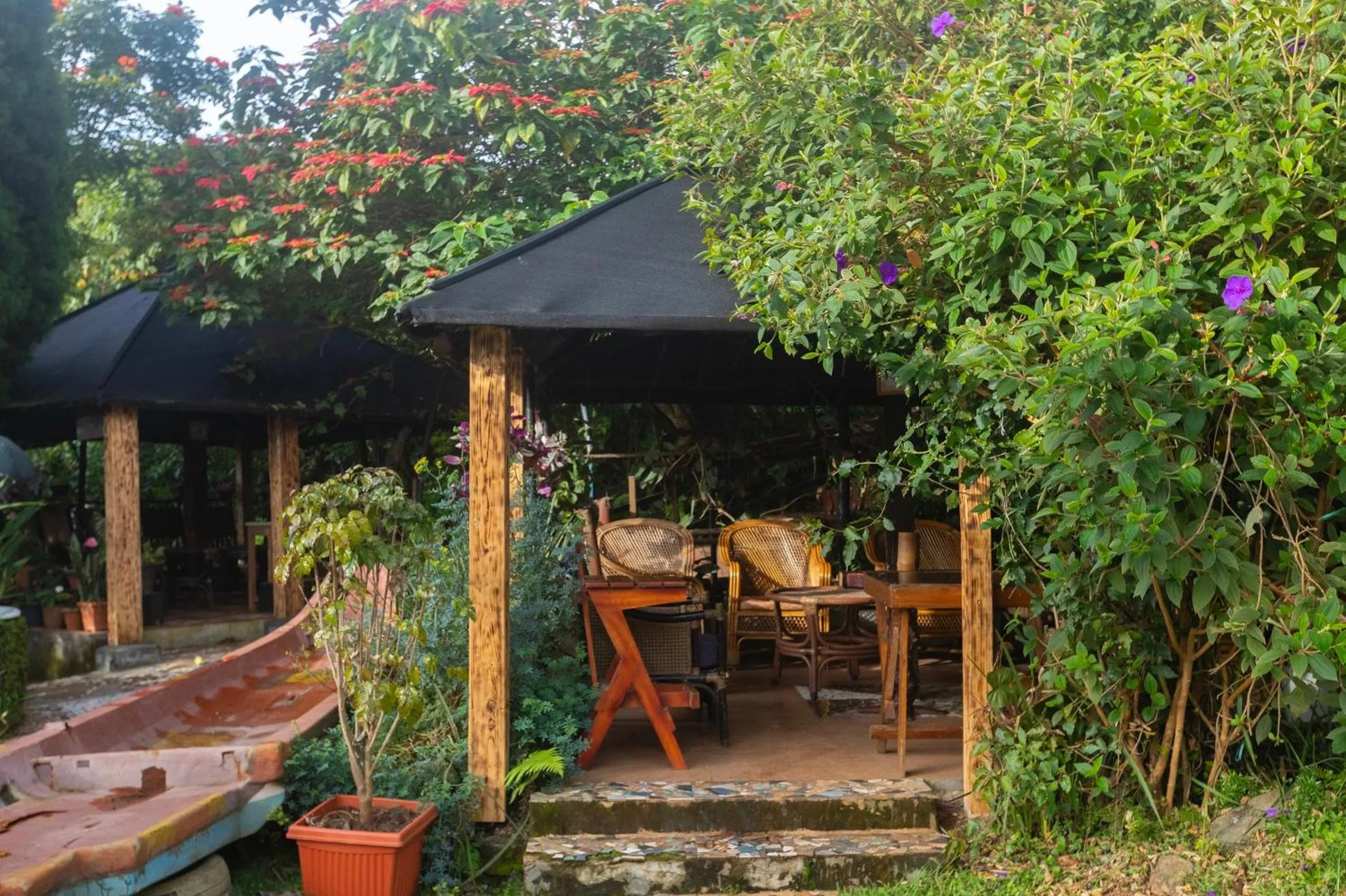 Patio in De Rock Jungle Living Resort