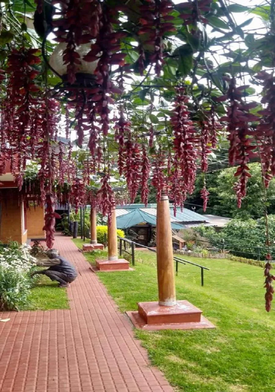 Neighbourhood in De Rock Jungle Living Resort