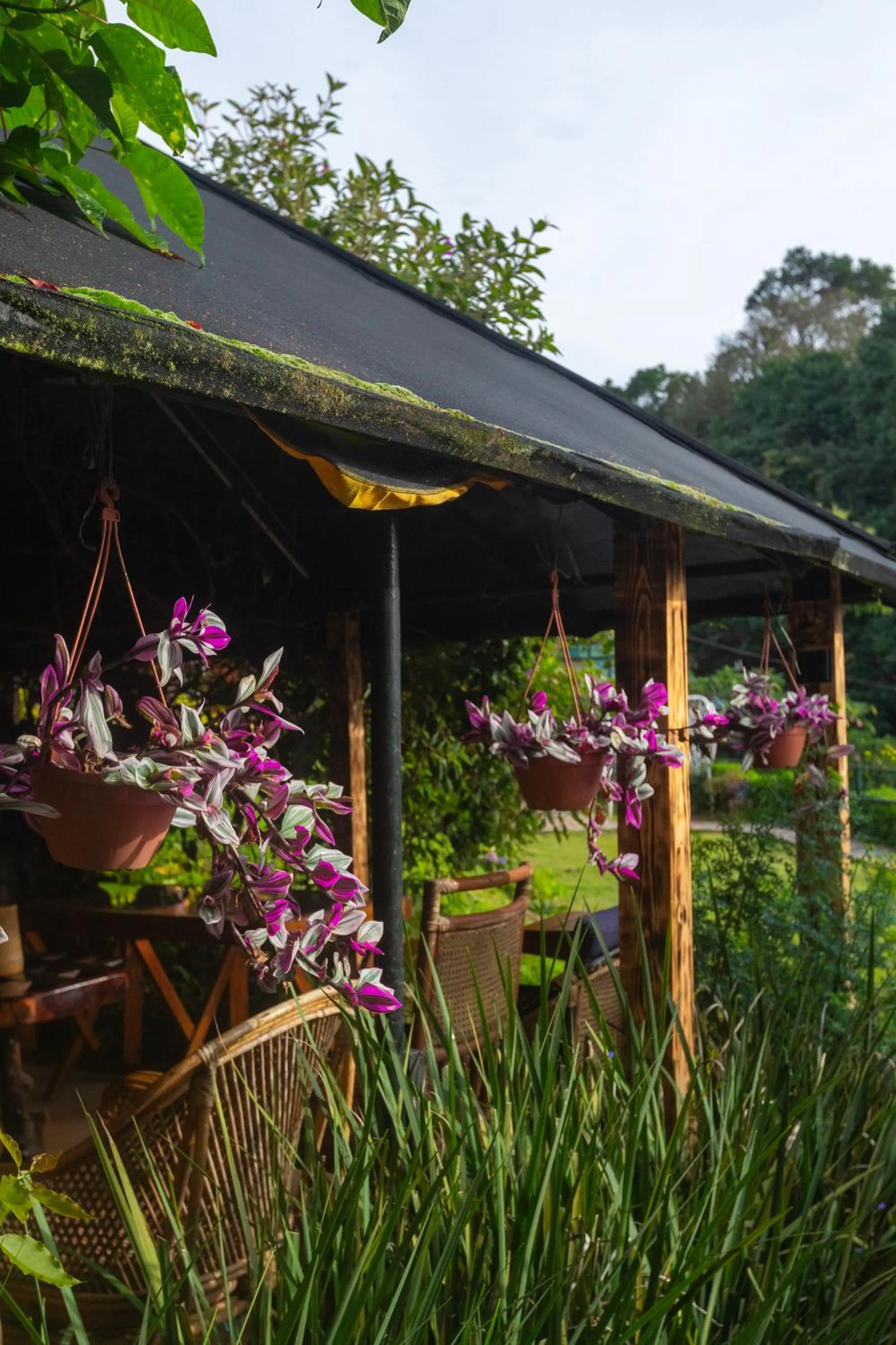 Garden in De Rock Jungle Living Resort