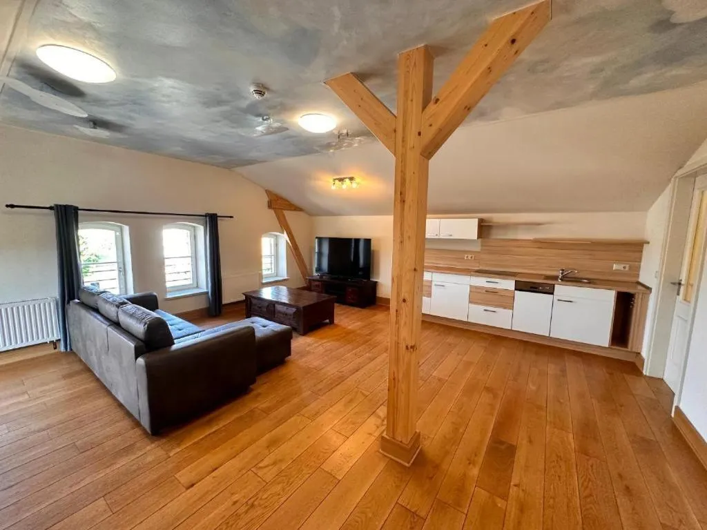 TV and multimedia in Altstadthotel Ilsenburg