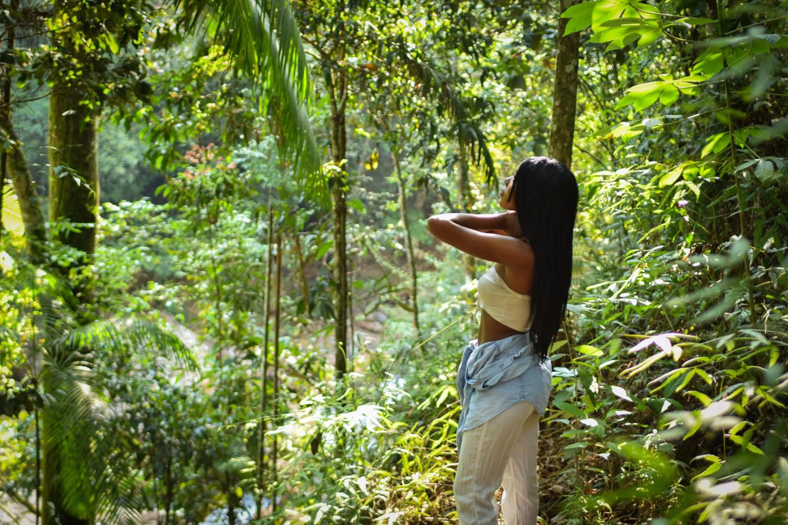 Hiking in BOSQUE EL DESCANSO