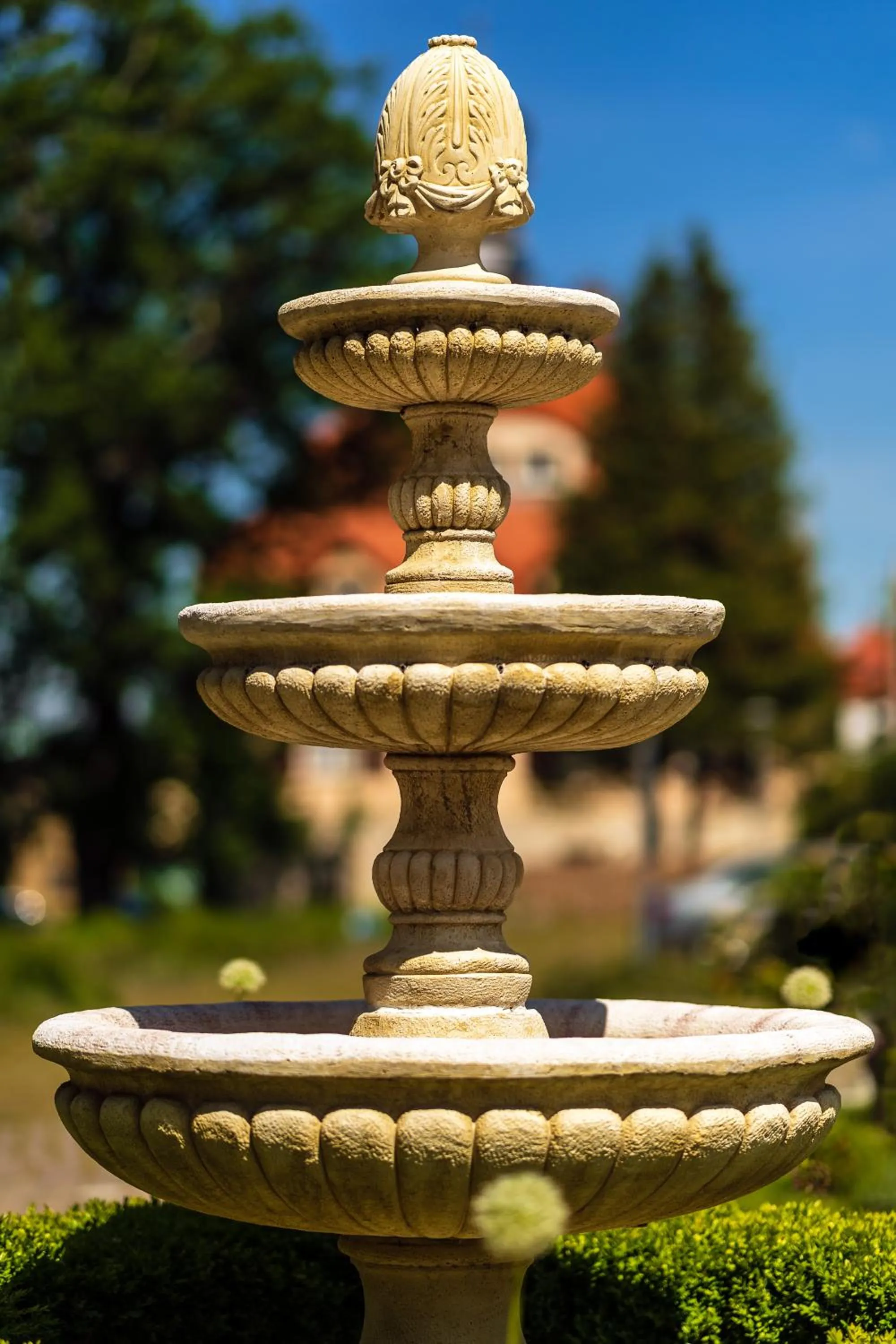 Garden in Parkhotel Hohnstein by STEIGER Hotels