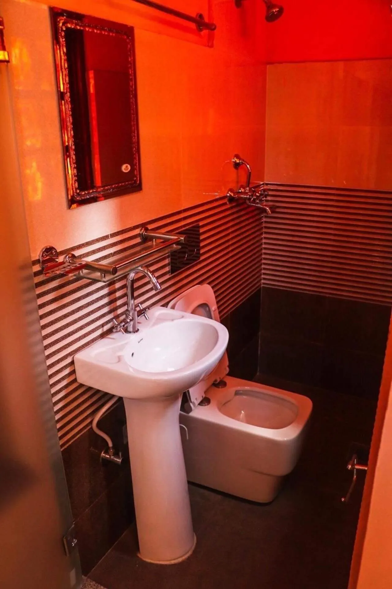 Toilet in Harry's Home