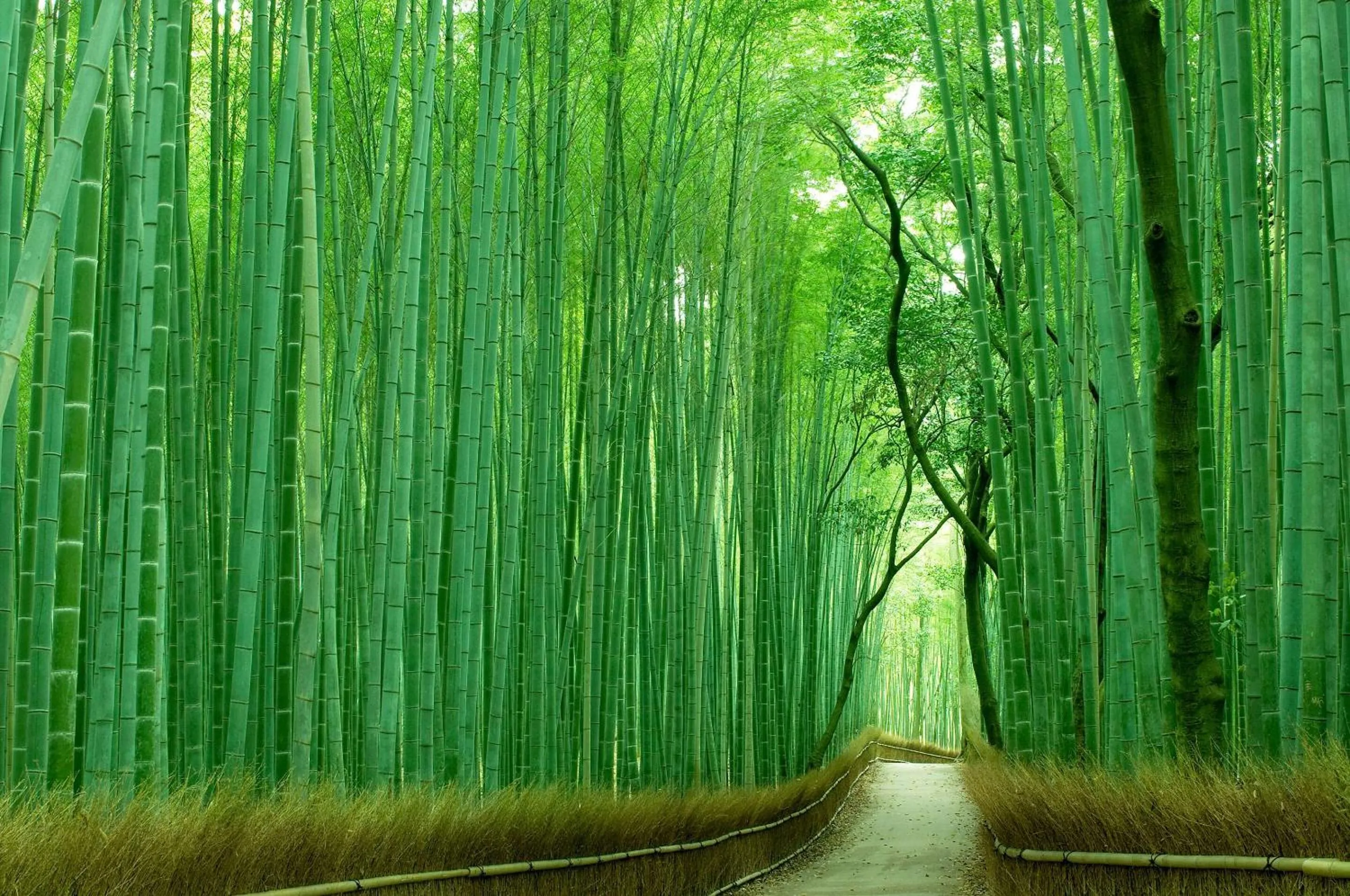 Other in Comfort Inn Kyoto Shijokarasuma