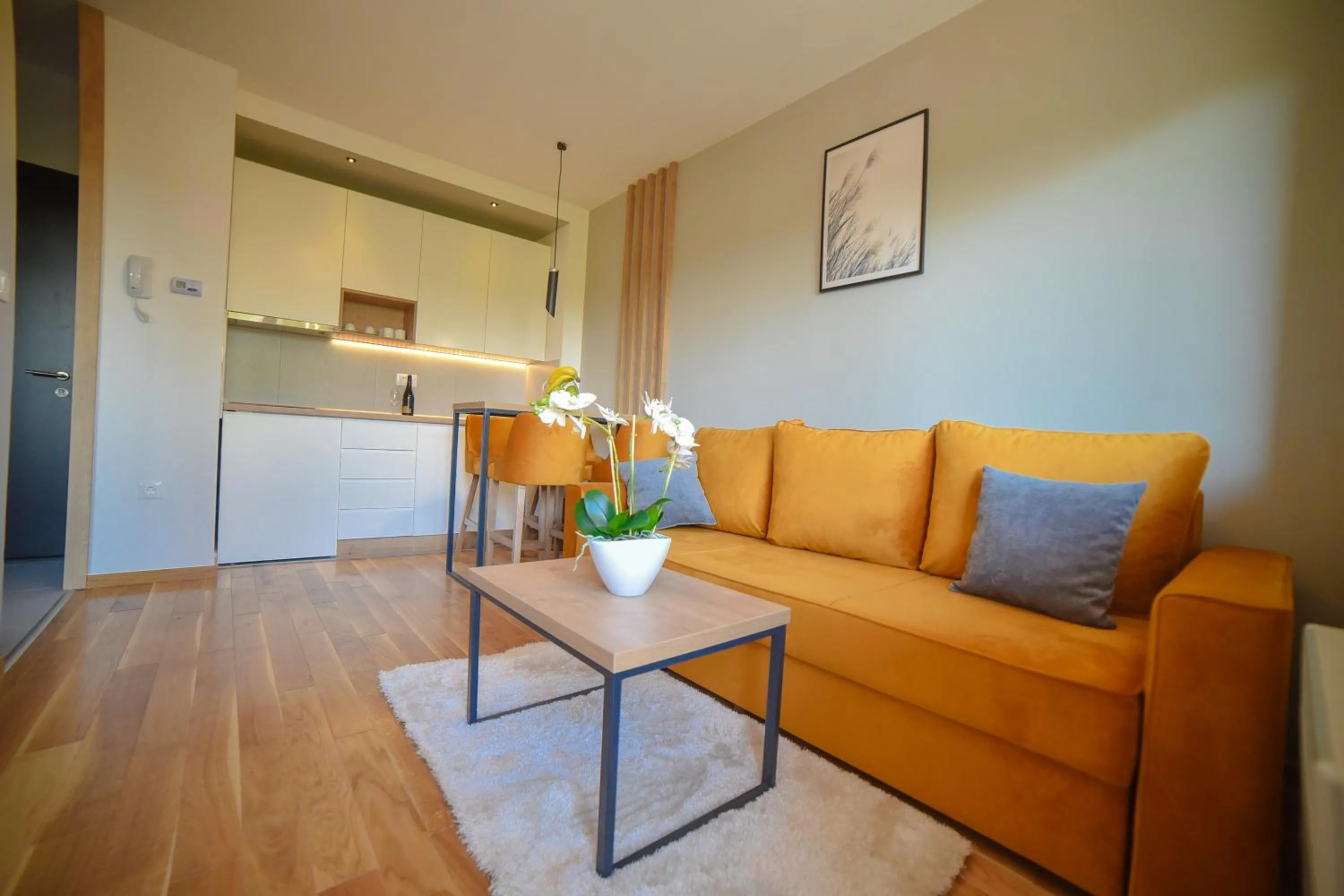 Kitchen or kitchenette in Titova Vila Zlatibor