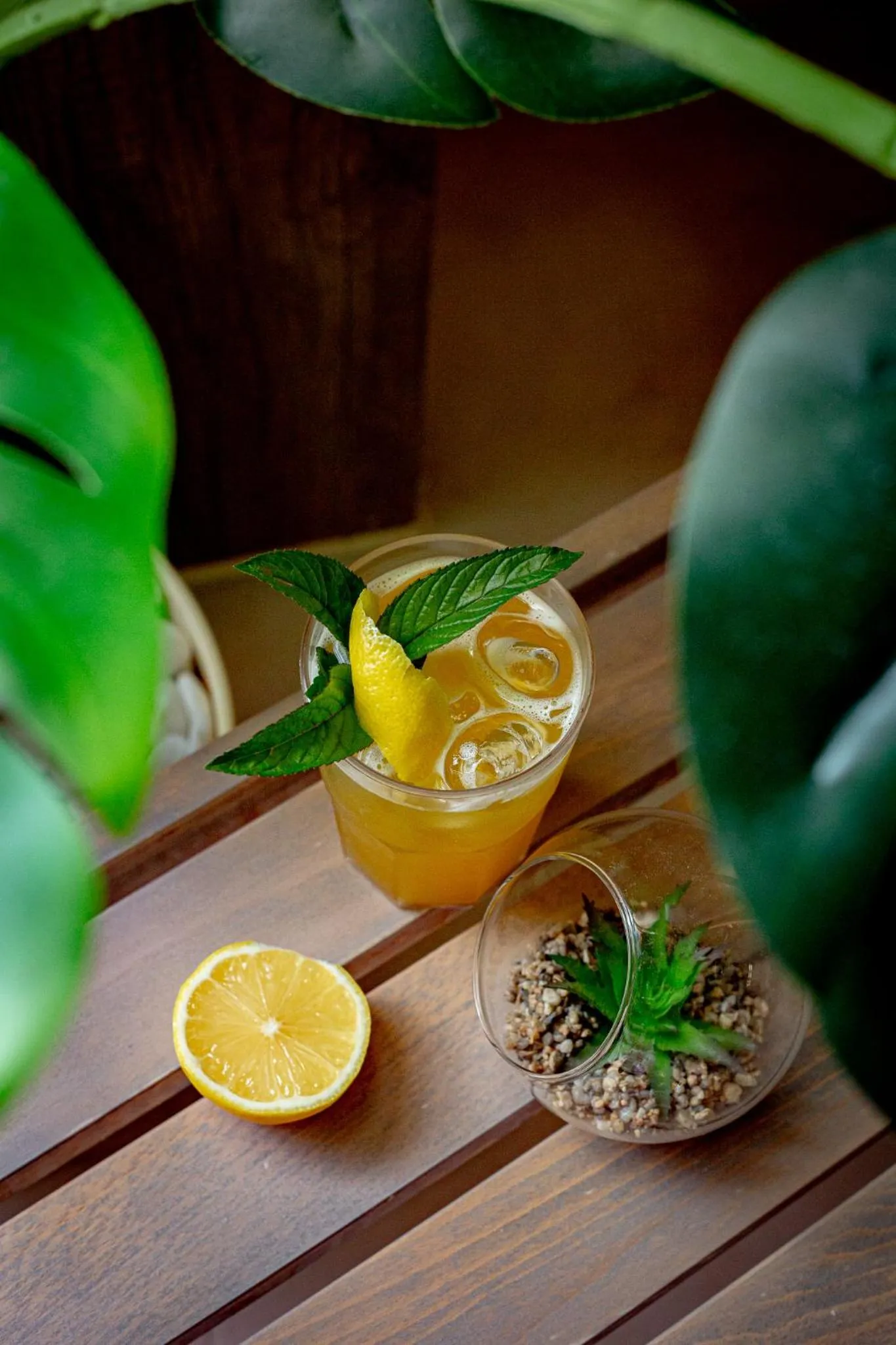 Spa and wellness centre/facilities in Titova Vila Zlatibor