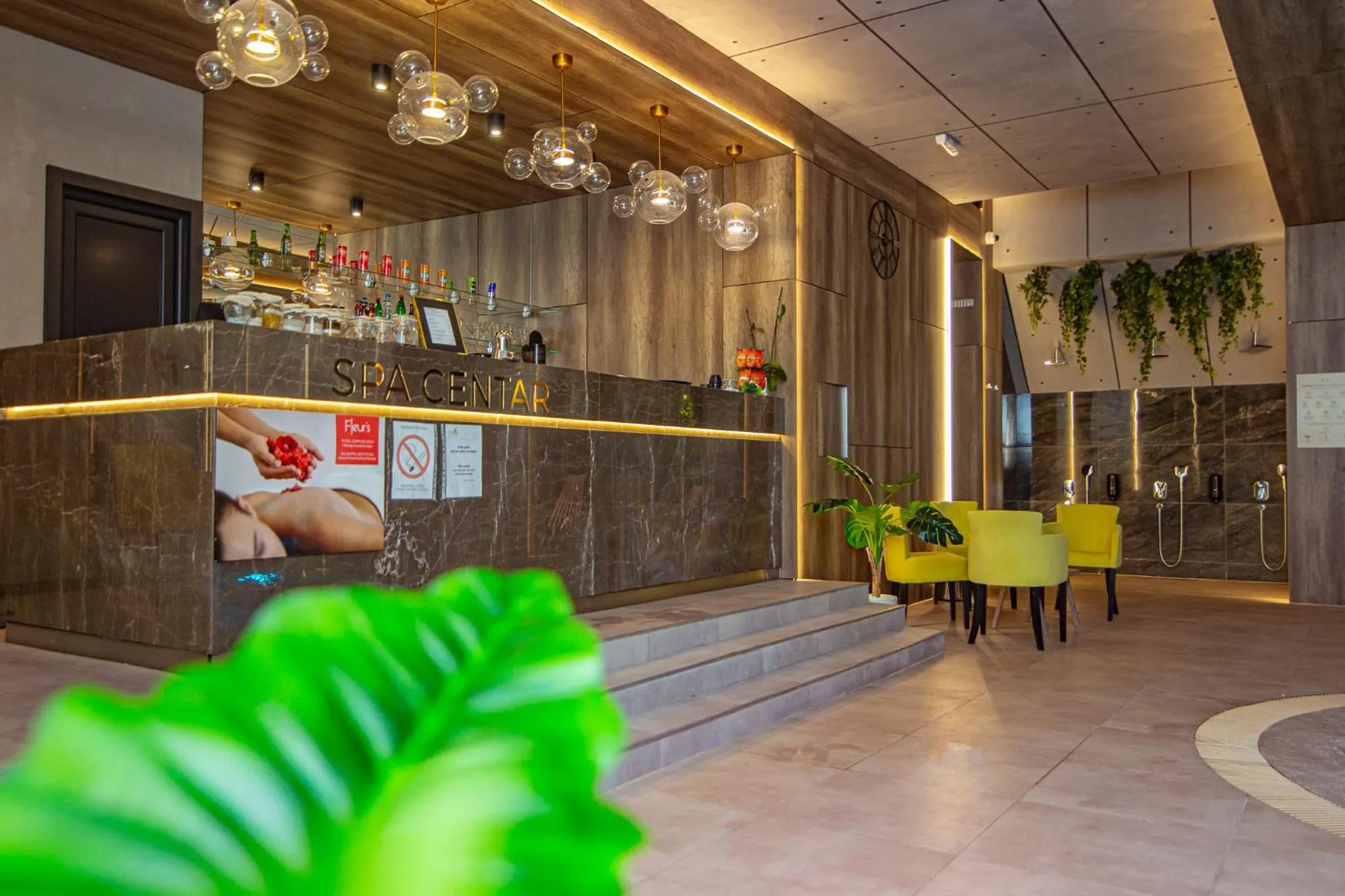 Spa and wellness centre/facilities in Titova Vila Zlatibor