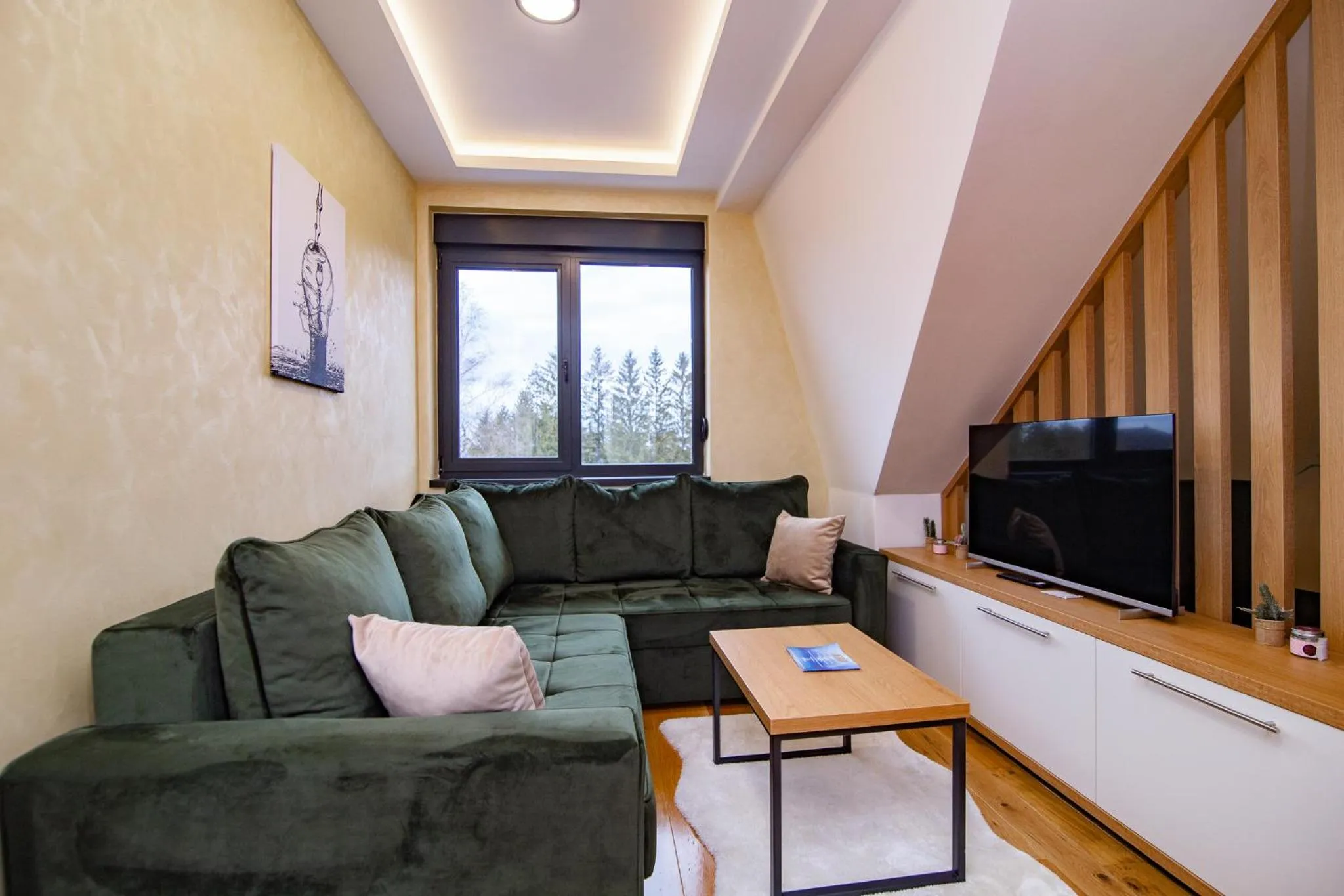 TV and multimedia in Titova Vila Zlatibor