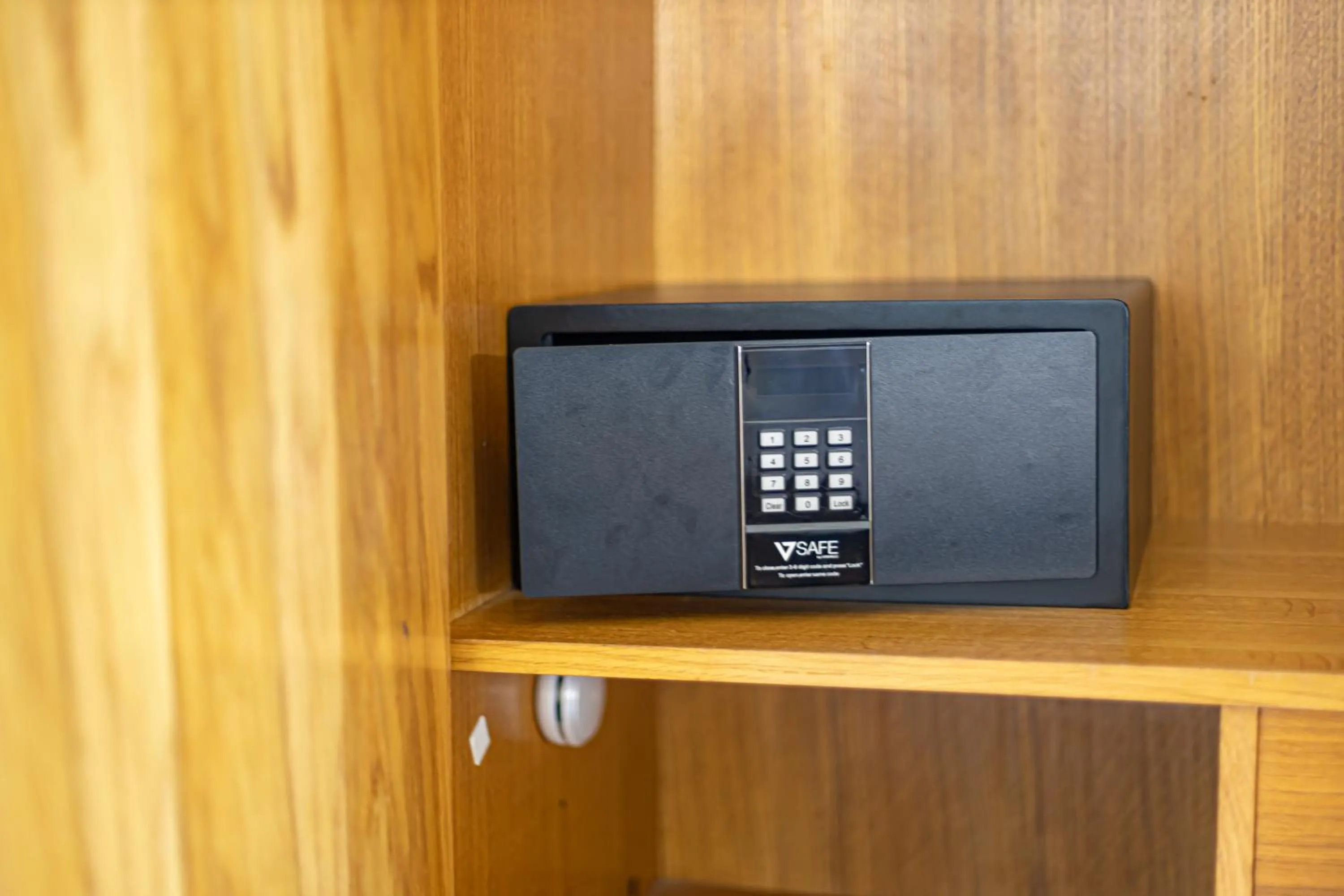 safe in LVG Hotel Collection - Tornielli 9