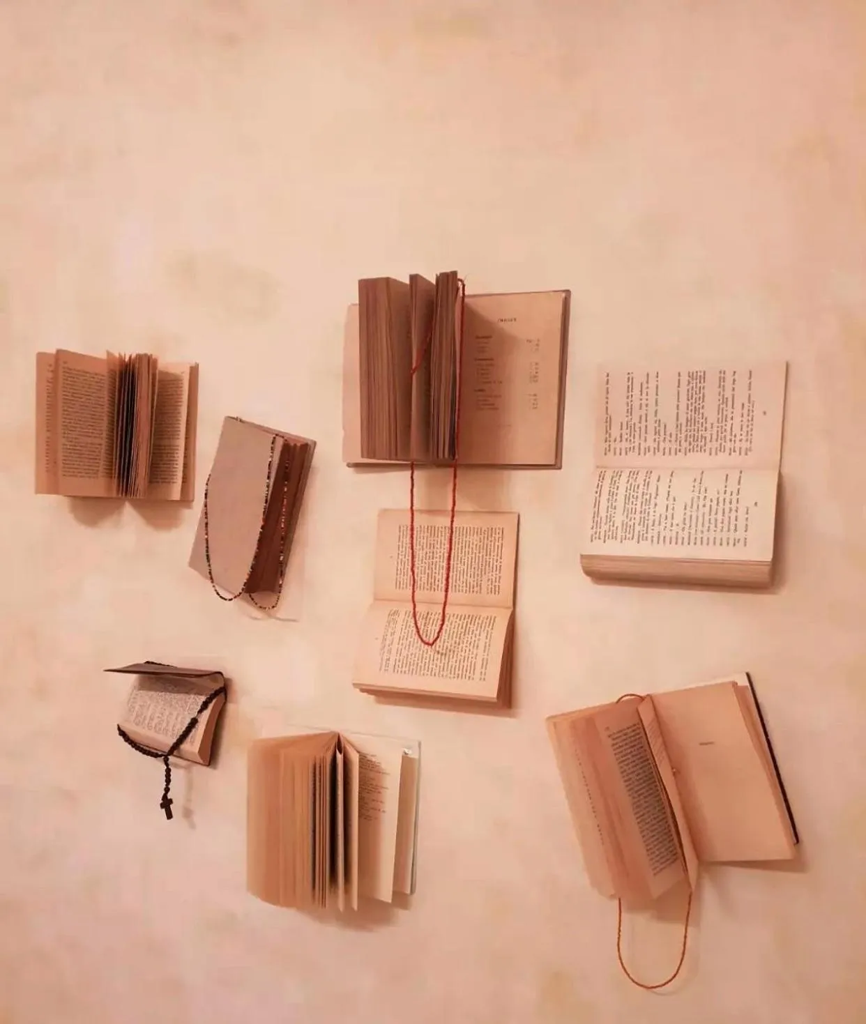 Logo/Certificate/Sign in Palazzo Donna Titì