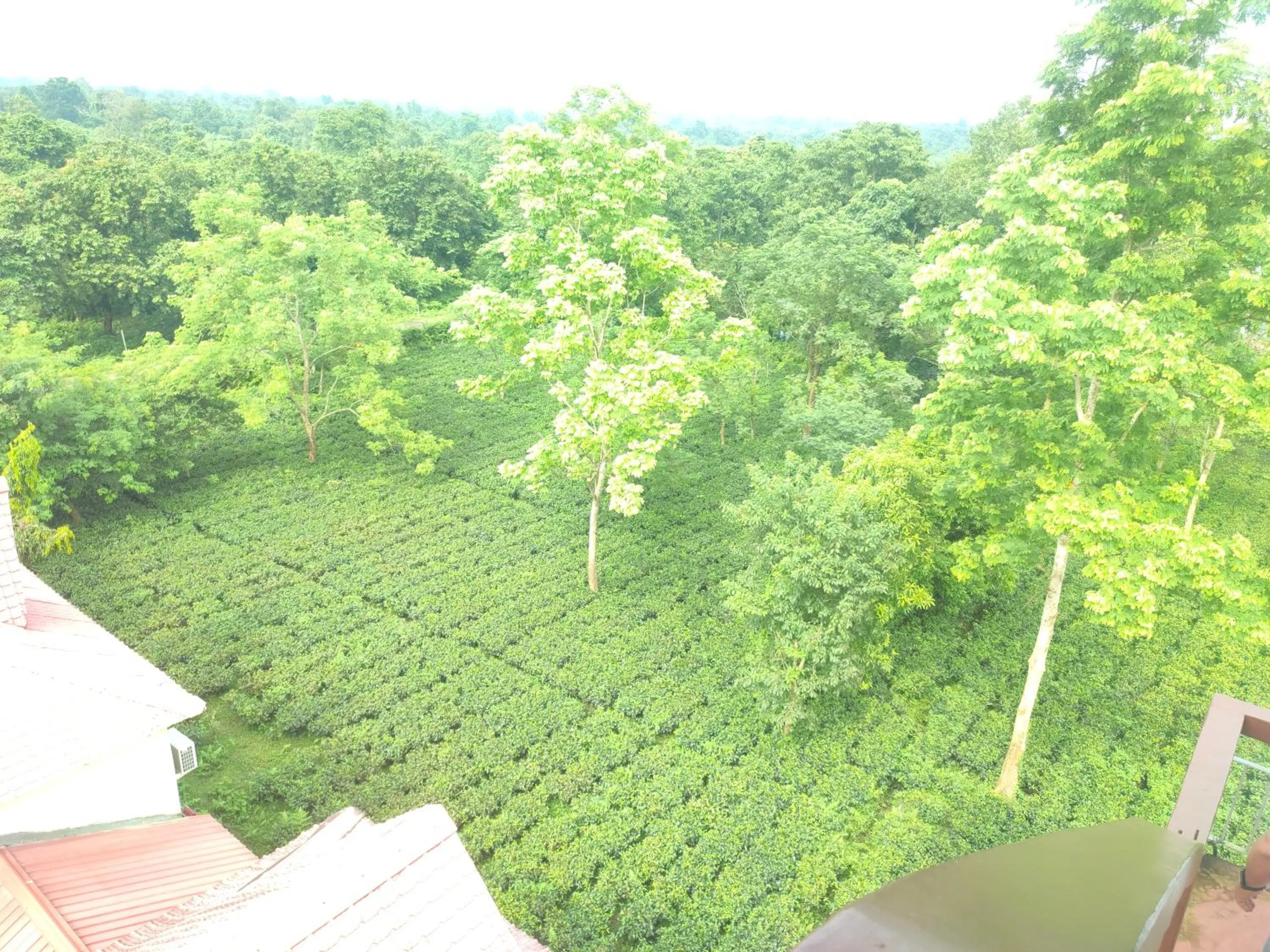 Day in Maa Greenary View - A Holiday Resort