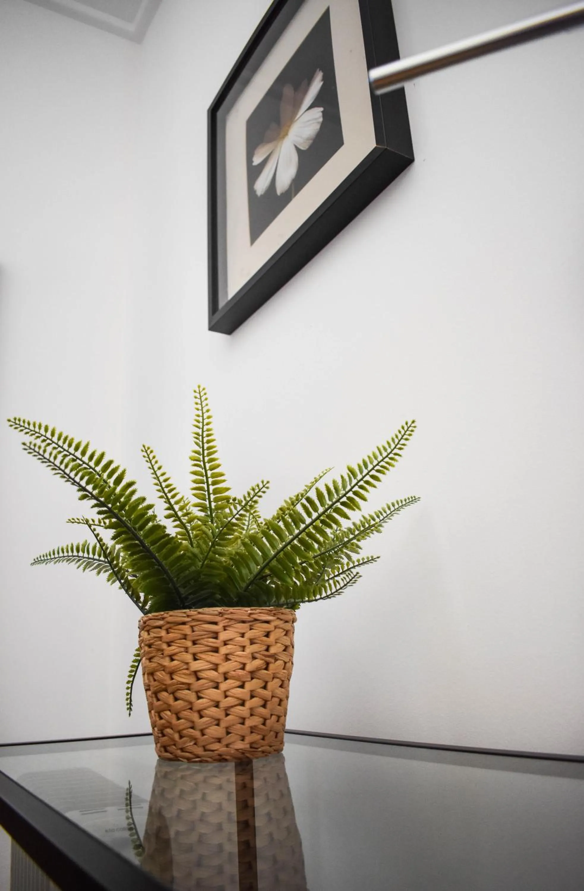 Floor plan in Batalhoz House