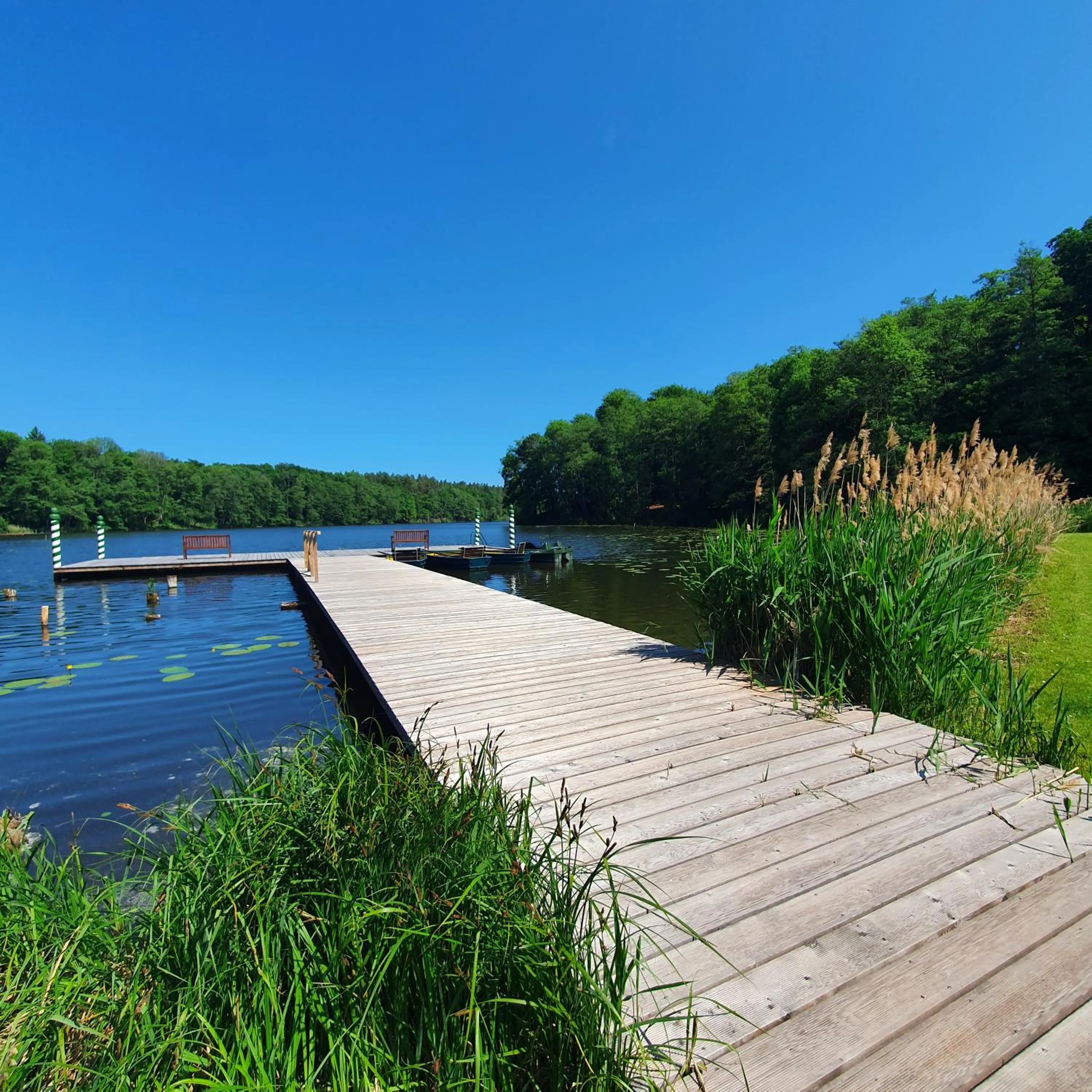 Hiking in Hotel Gut Klostermühle natur resort & medical spa