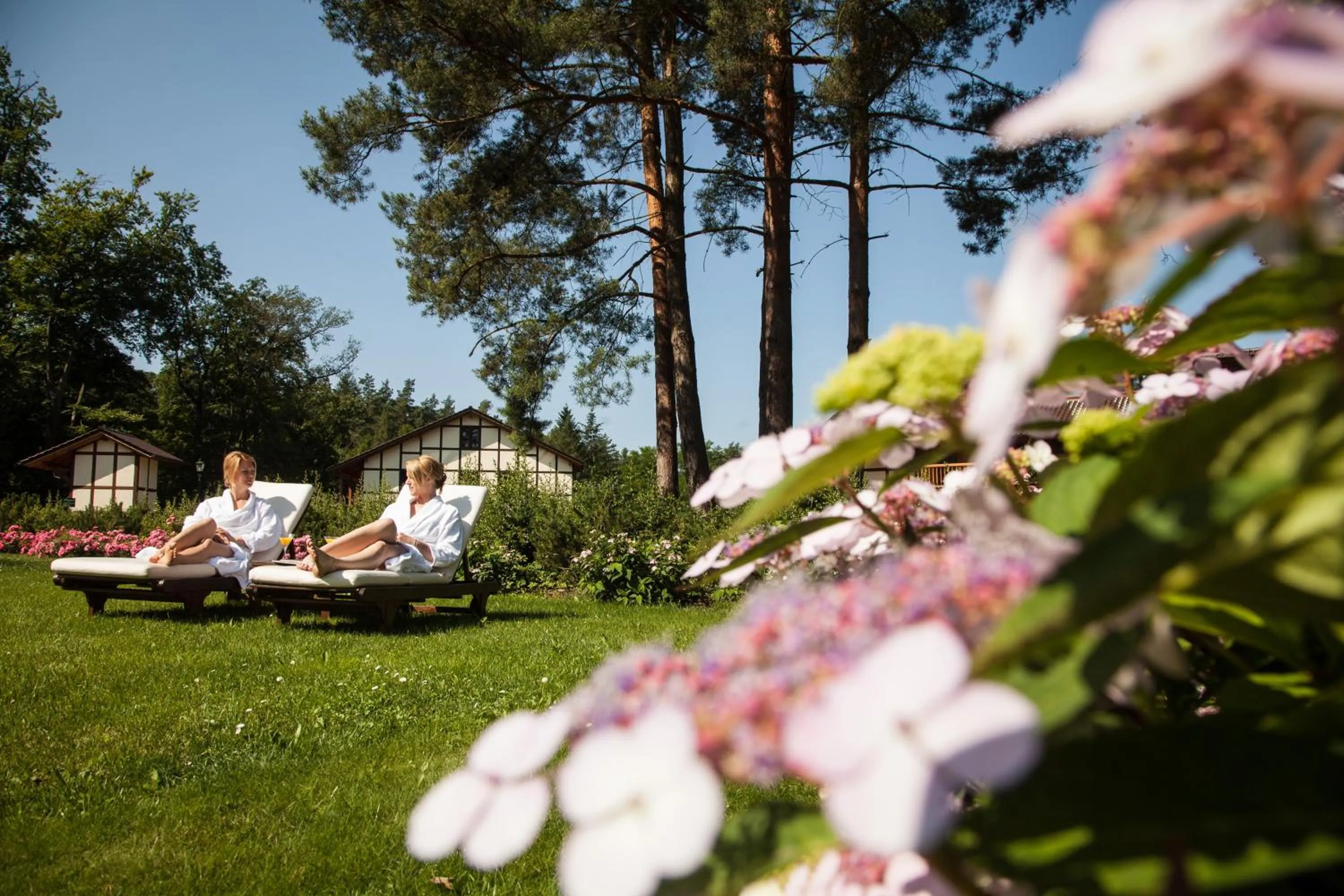 Spa and wellness centre/facilities in Hotel Gut Klostermühle natur resort & medical spa
