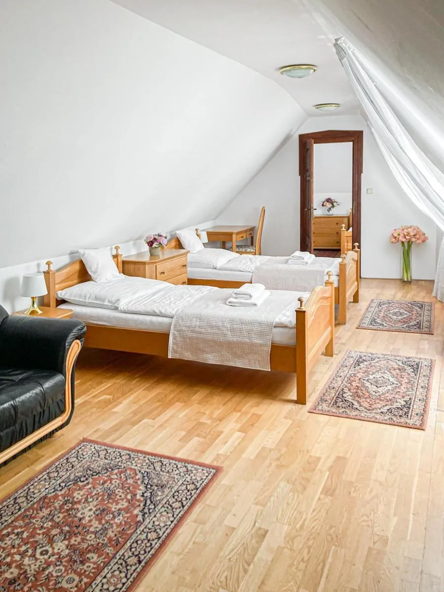 Bed in Hotel Salamander - Garni