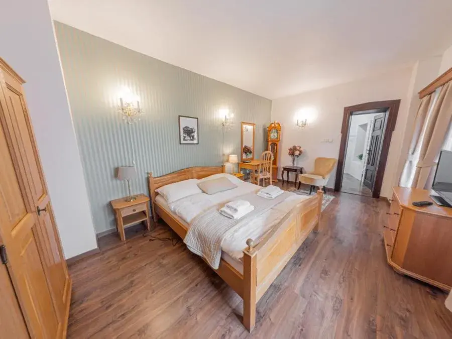 Double Room with Private Bathroom in Hotel Salamander - Garni Double Room with Private Bathroom in Hotel Salamander - Garni