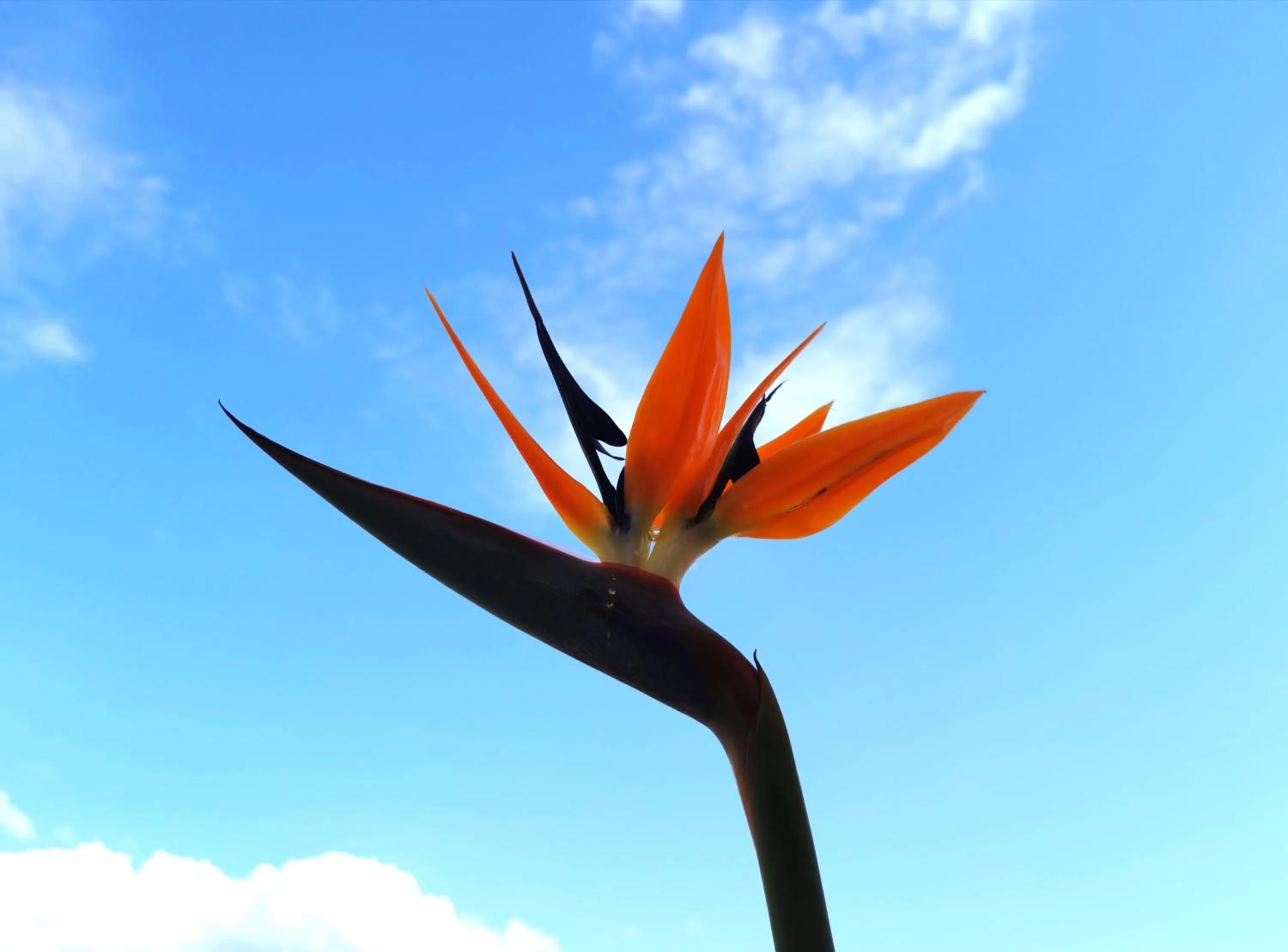 Property building in Hotel TEA - Praia a Mare