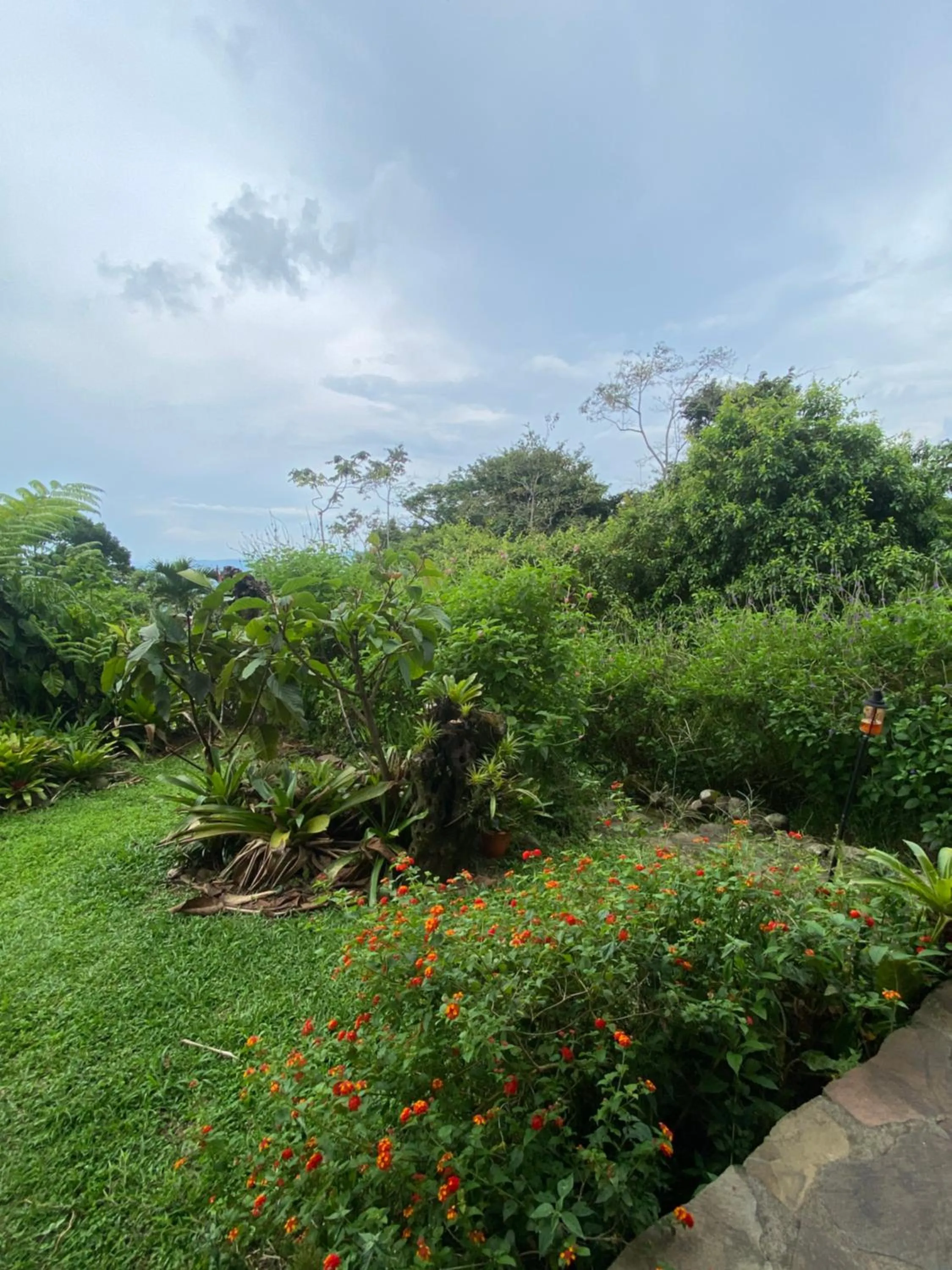 Birds & Breakfast Costa Rica