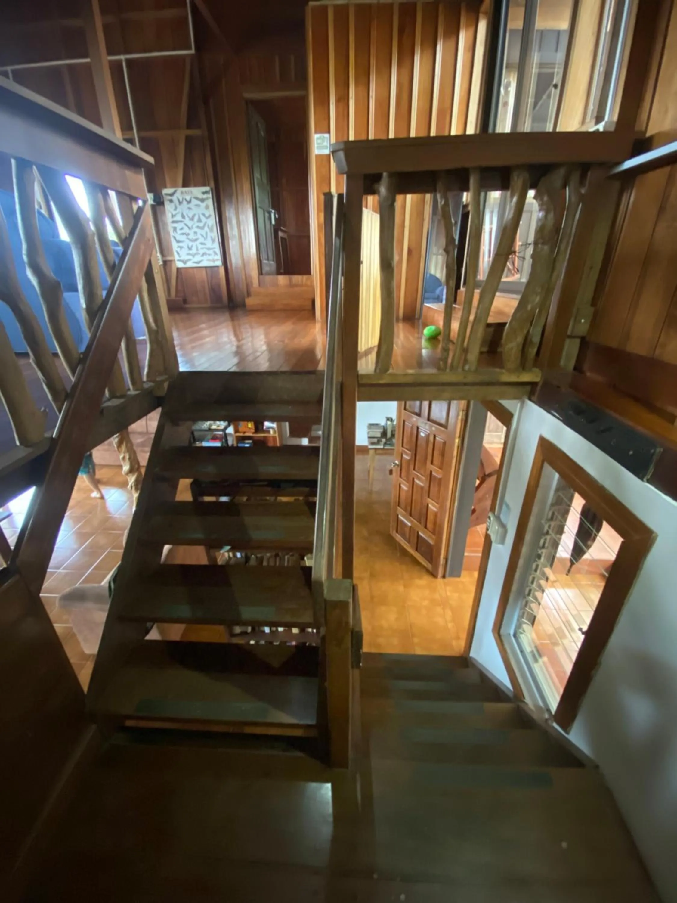 Birds & Breakfast Costa Rica