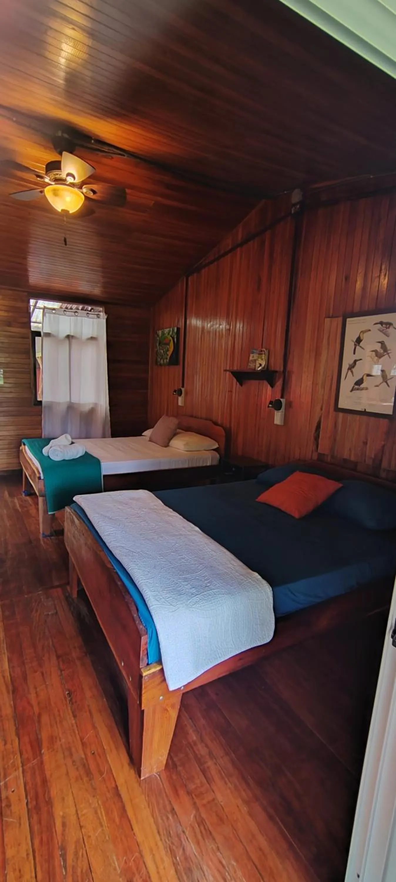 Bed in Birds & Breakfast Costa Rica