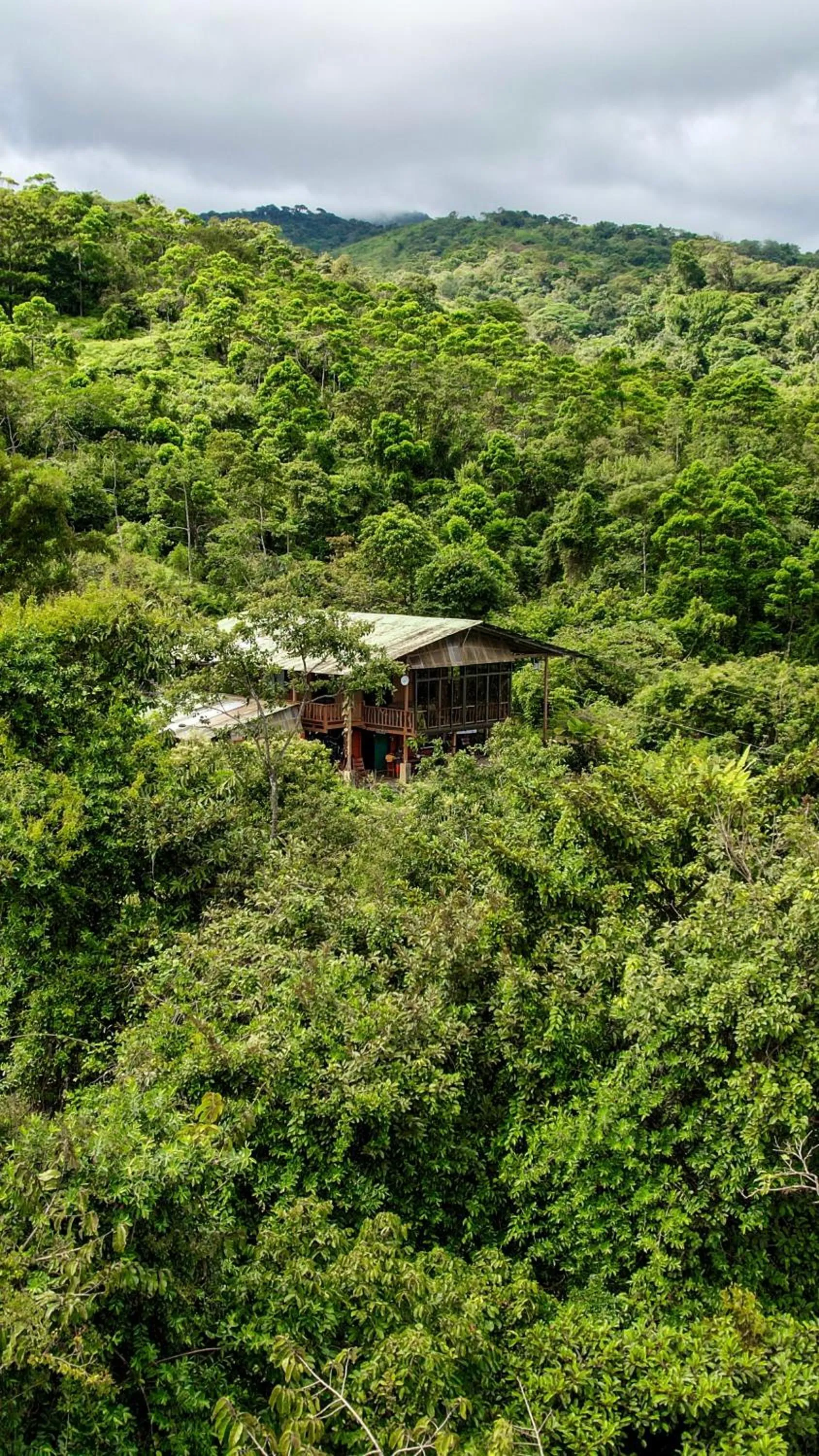 Birds & Breakfast Costa Rica
