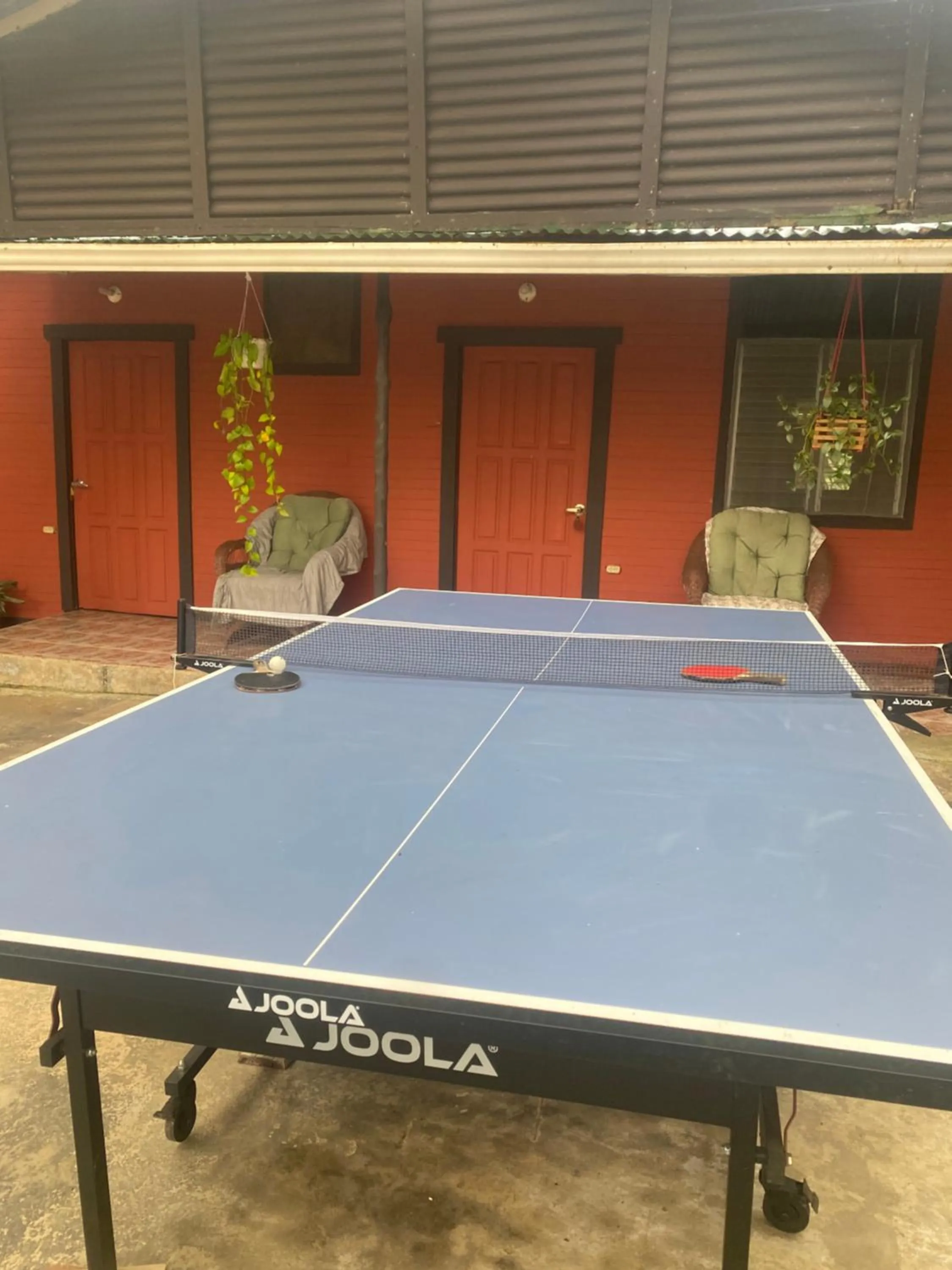 Birds & Breakfast Costa Rica