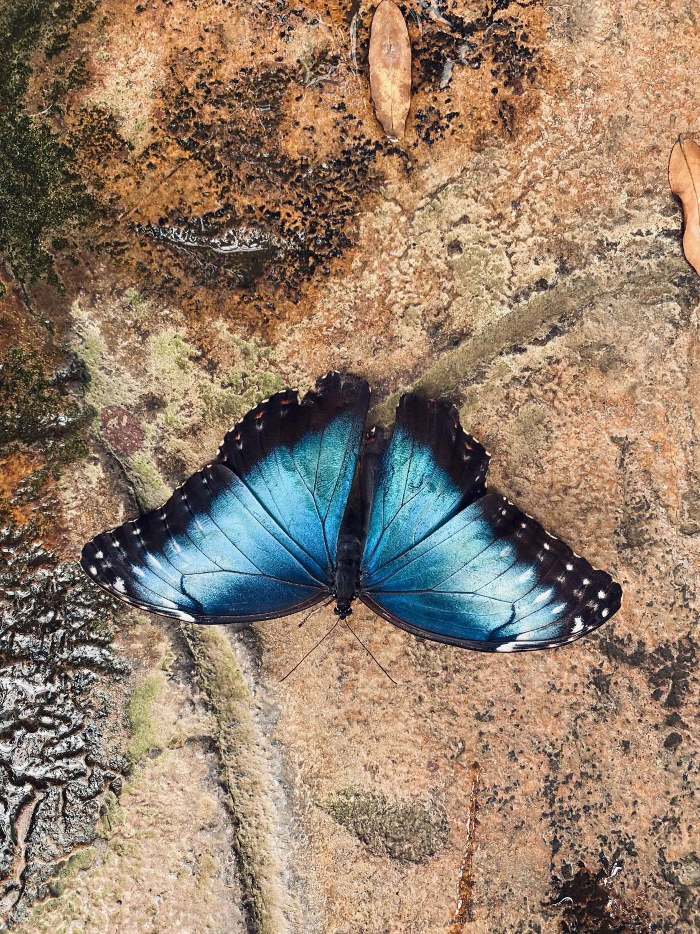 Nearby landmark in Park View Hotel & Restaurant