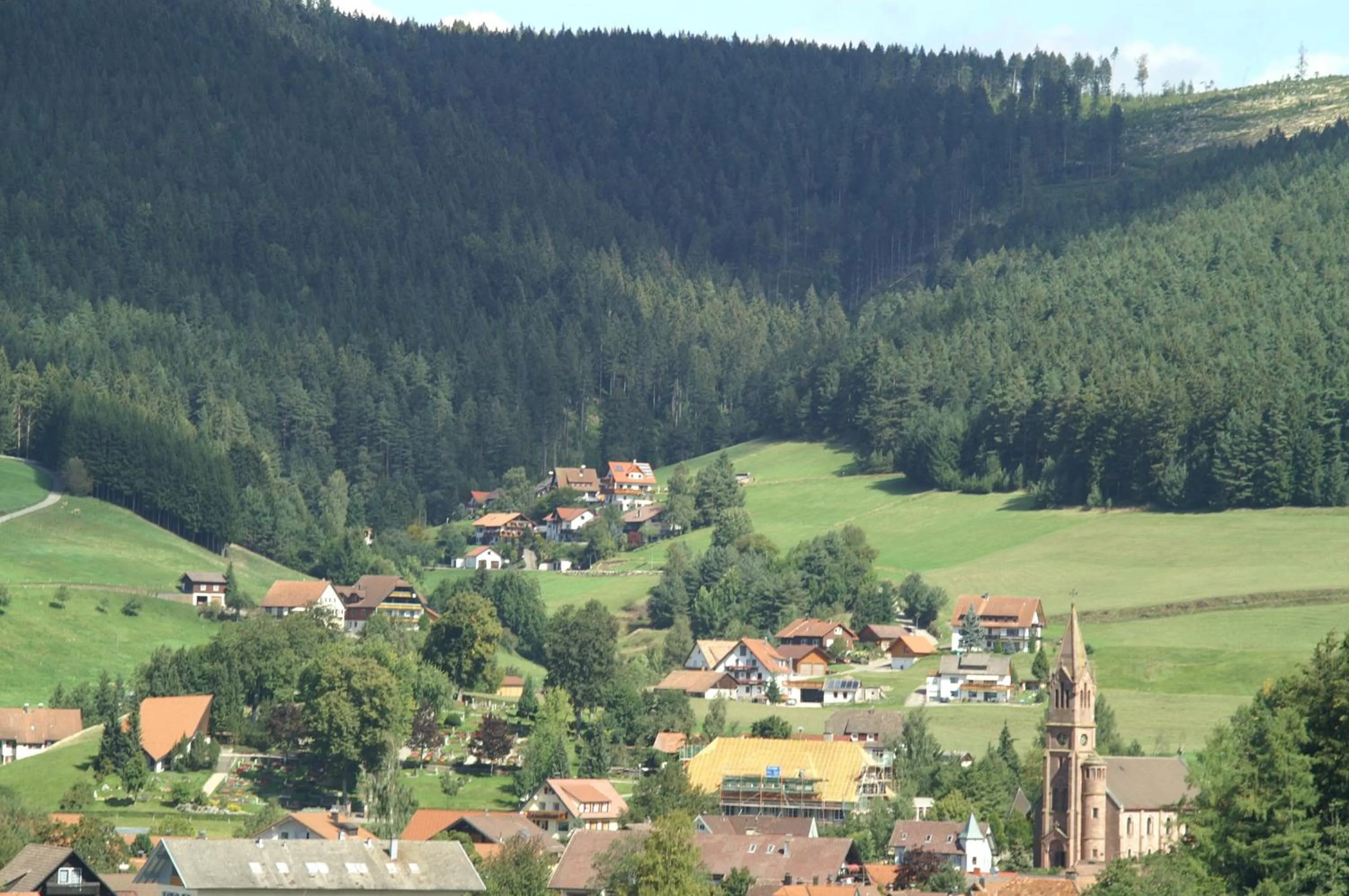 Area and facilities in Hotel Lamm Baiersbronn Mitteltal