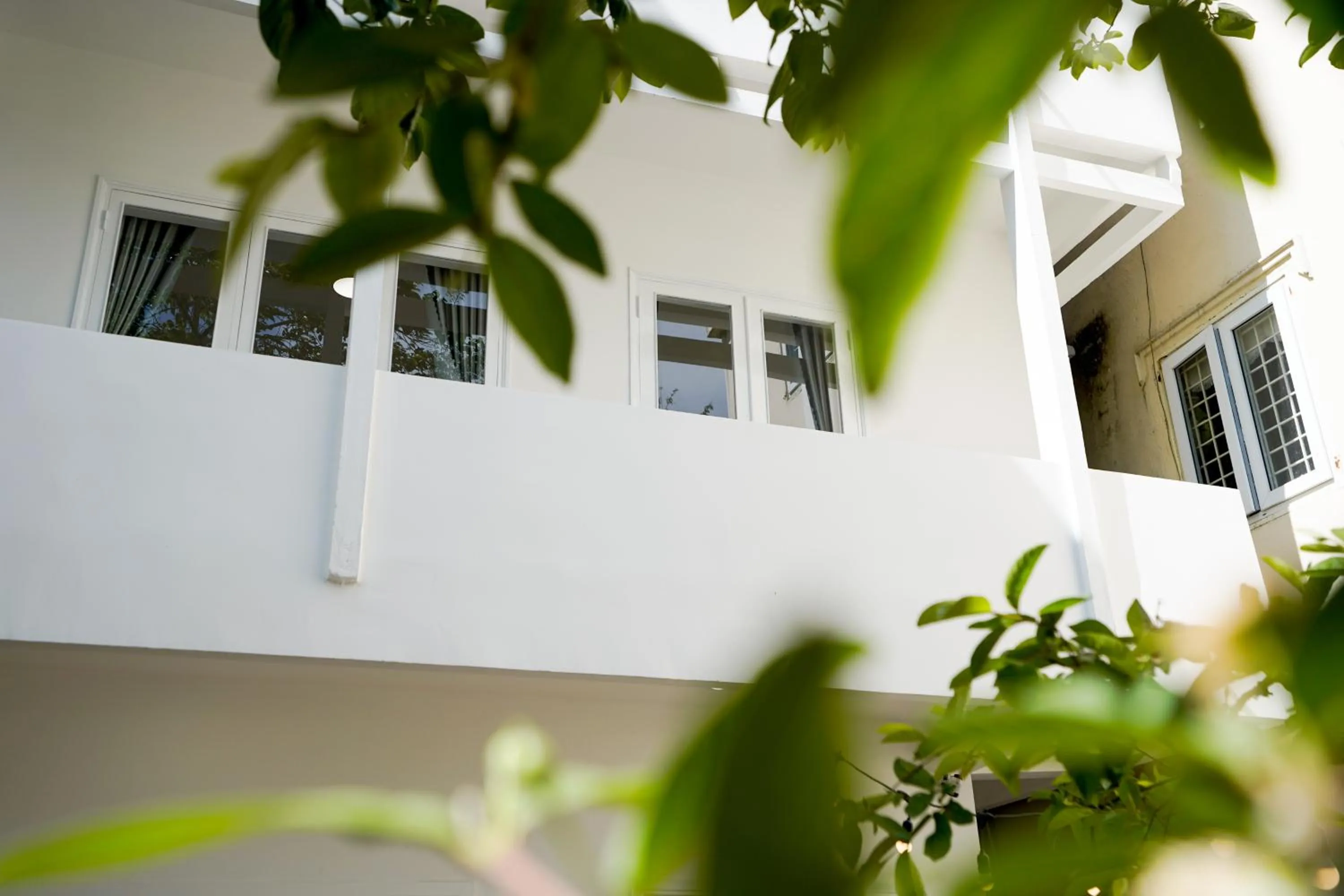 Garden in Whammy House Dalat