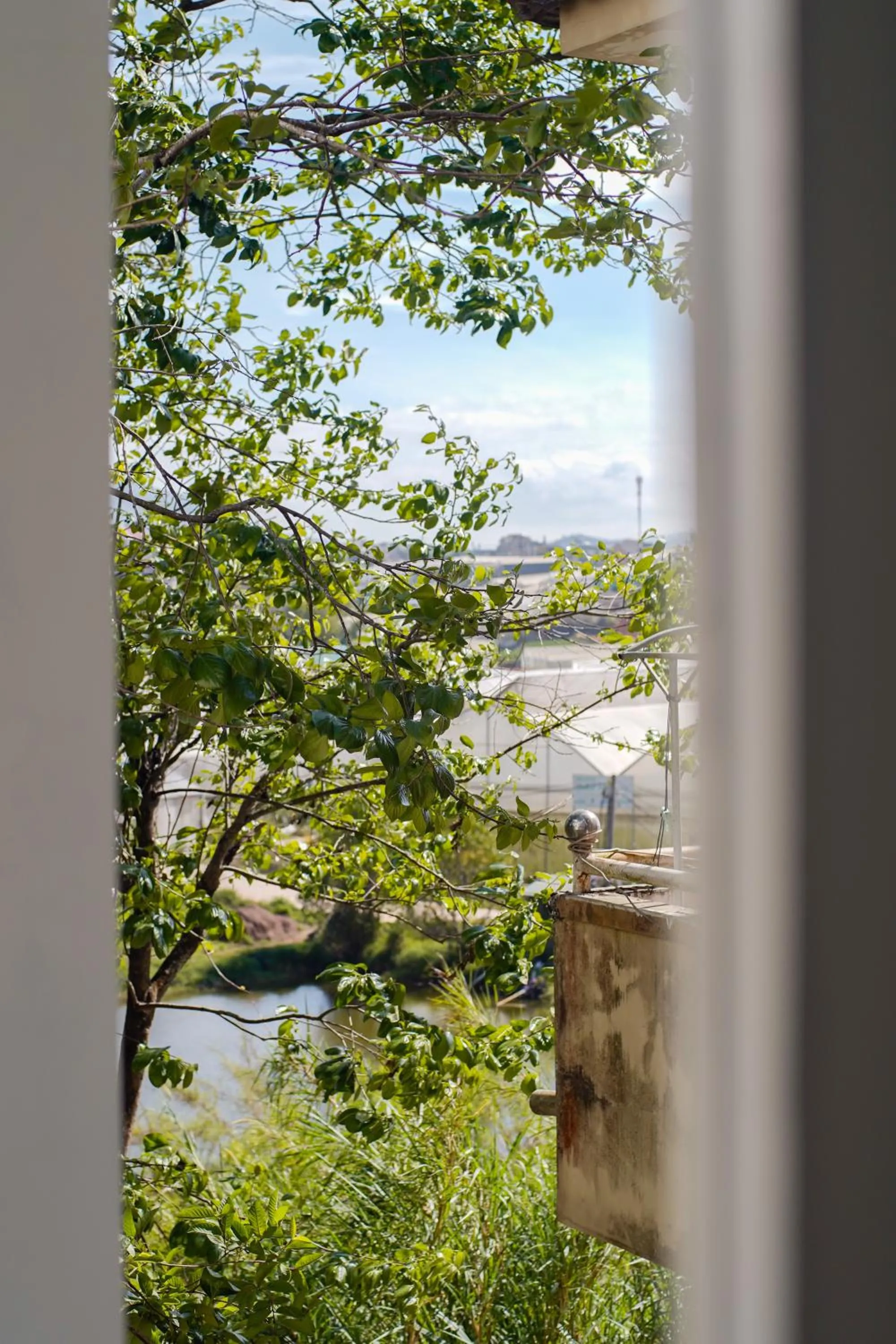 View (from property/room) in Whammy House Dalat