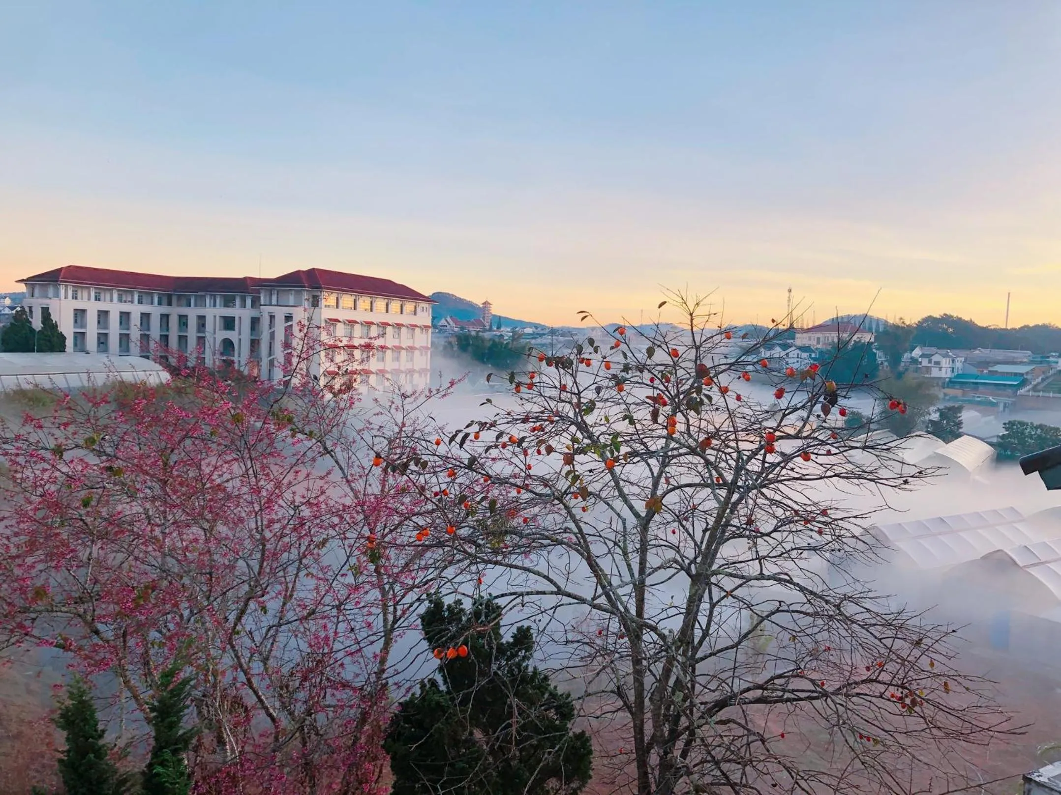 View (from property/room) in Whammy House Dalat