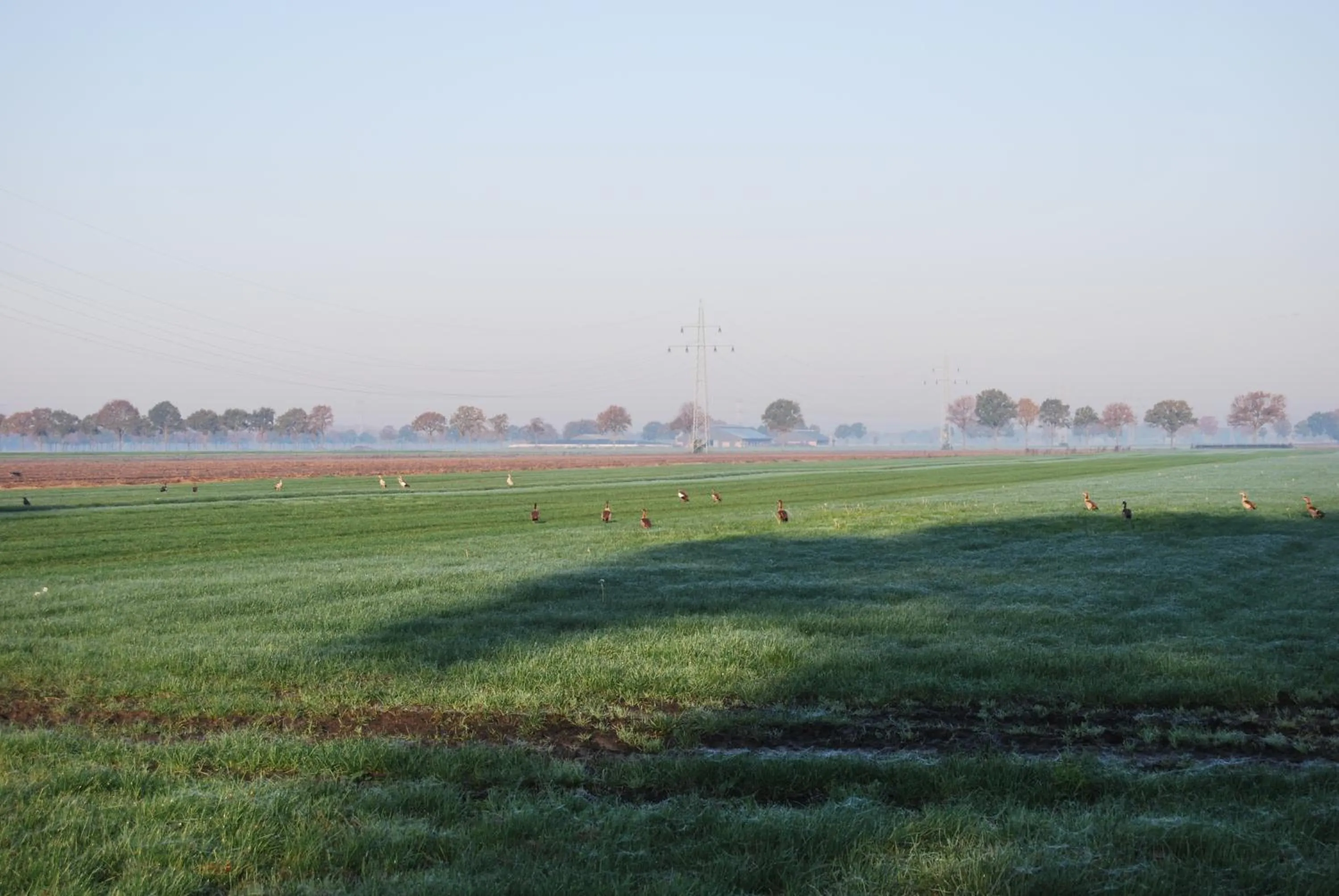 View (from property/room) in Hoeve de Heemser Parel