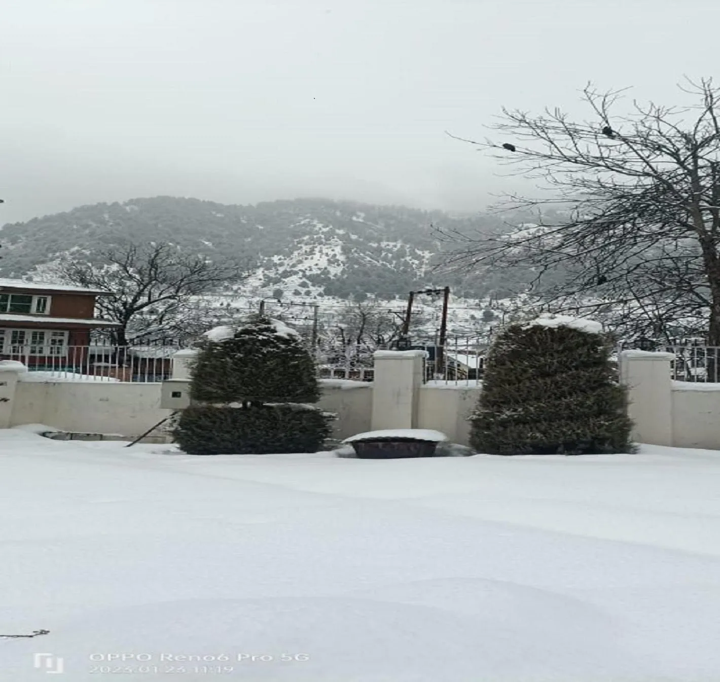 Natural landscape in Hotel Outlook