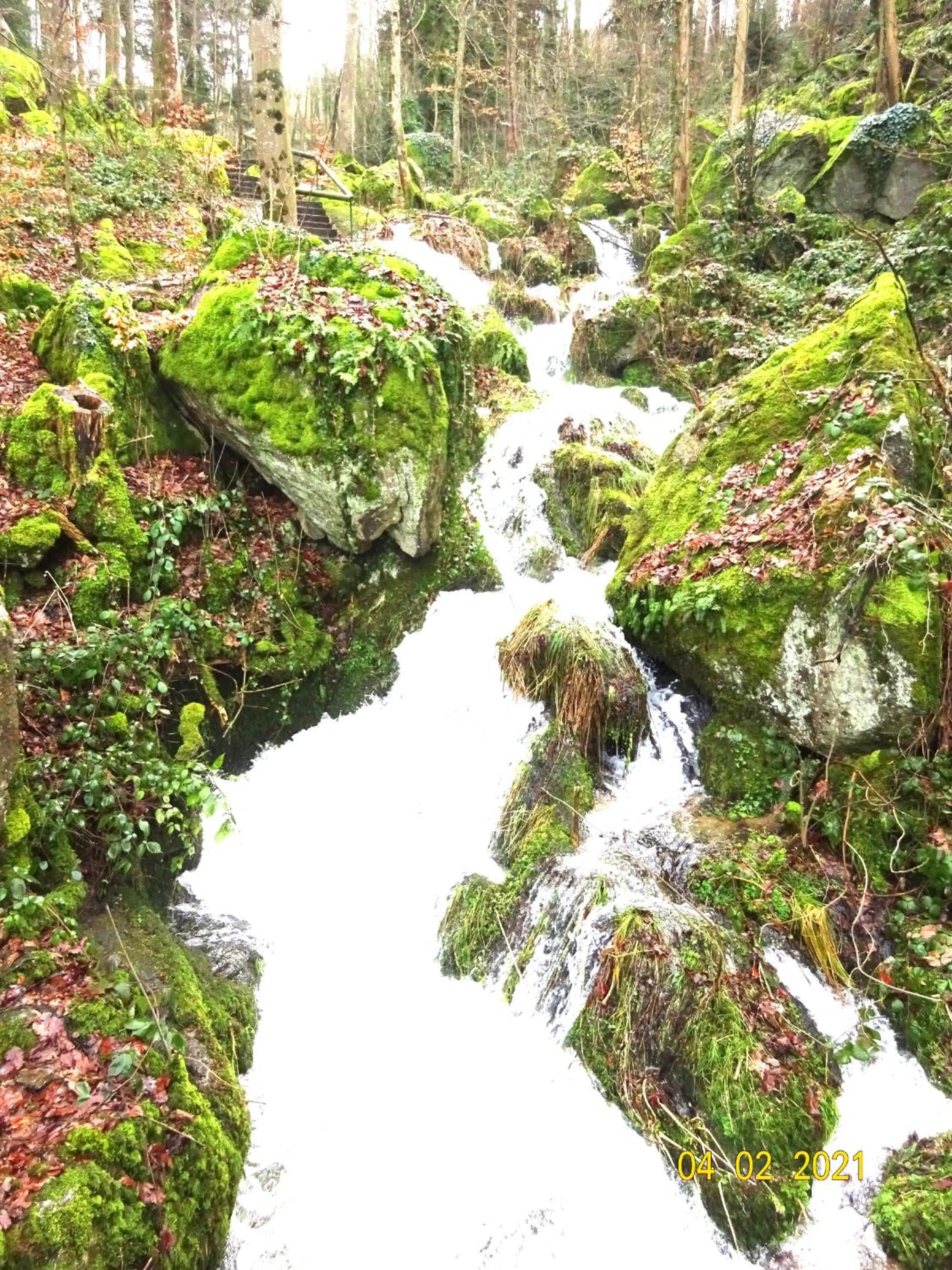 Hiking in Hotel Altenberg