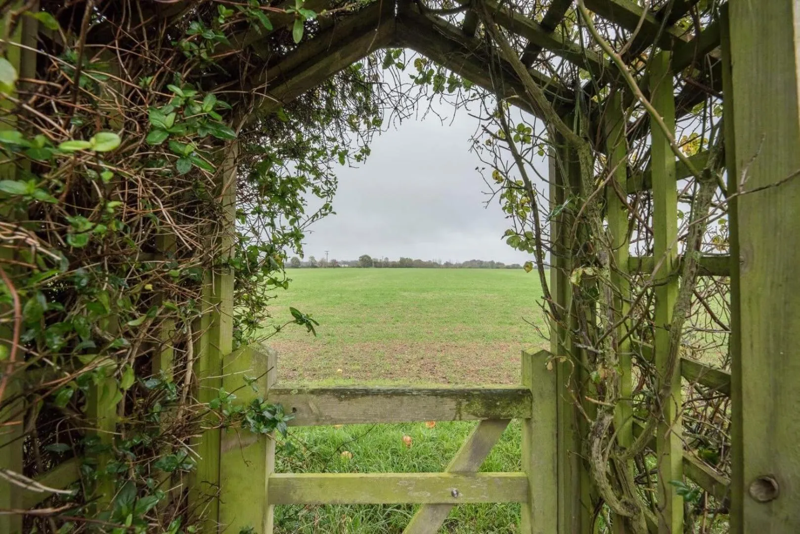 46 Ivy Cottage, Easton