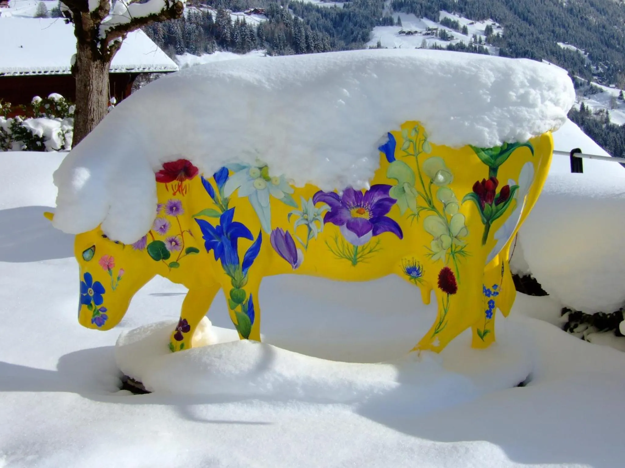 Balcony/Terrace in Hotel Bellevue - Traditional Swiss Hideaway