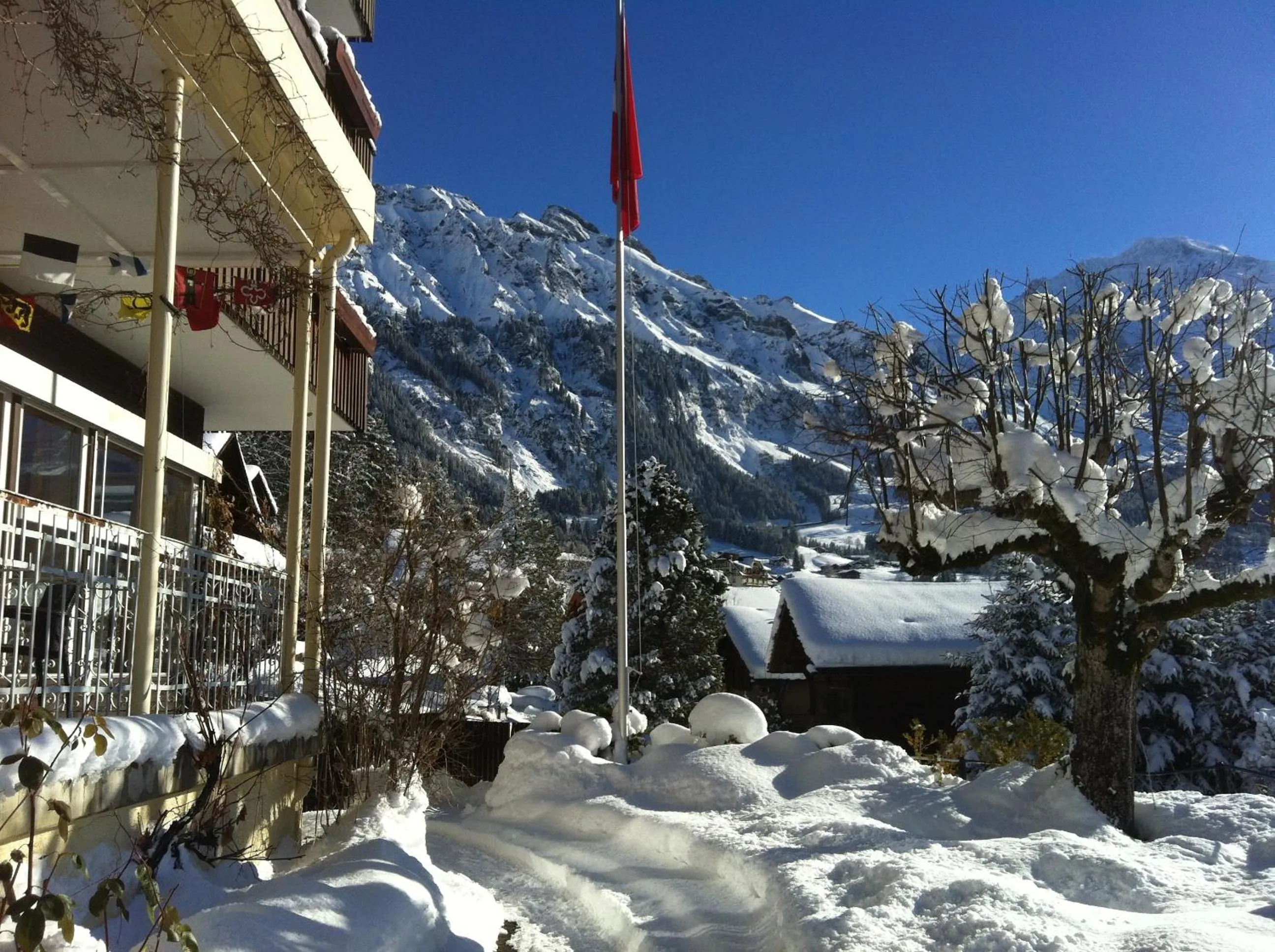 Area and facilities in Hotel Bellevue - Traditional Swiss Hideaway