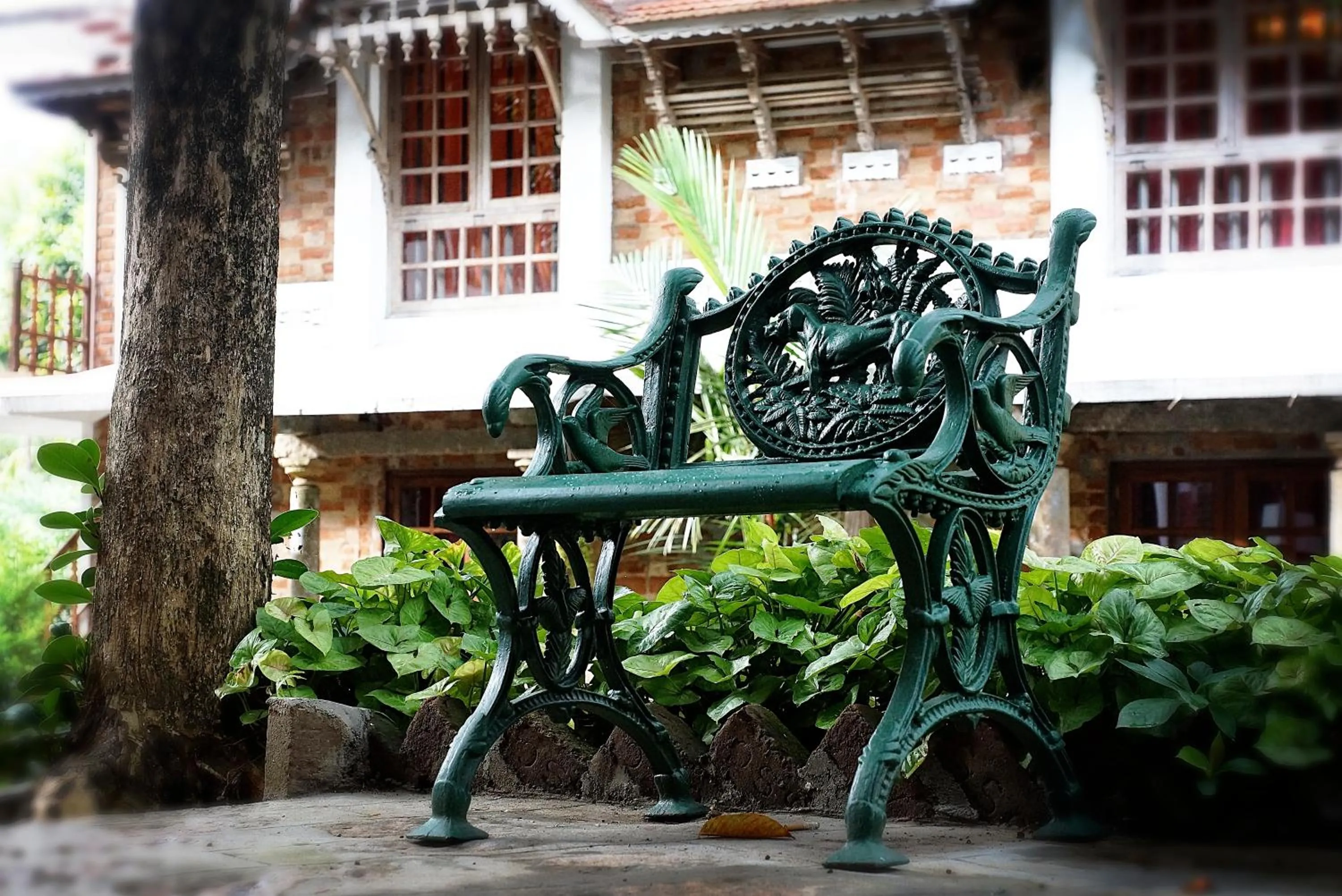 Garden in Hotel Ambadi