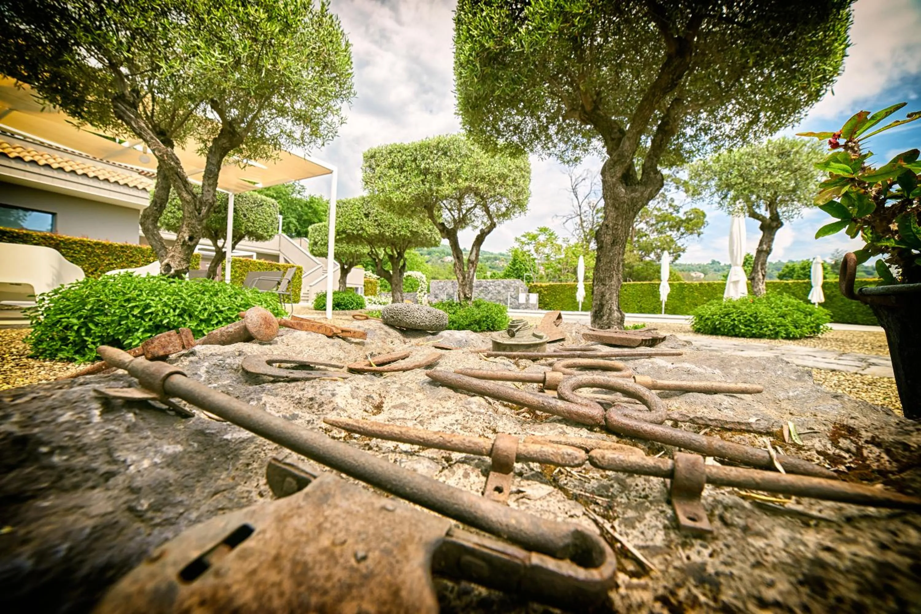 Garden in Il Casale di Monacella