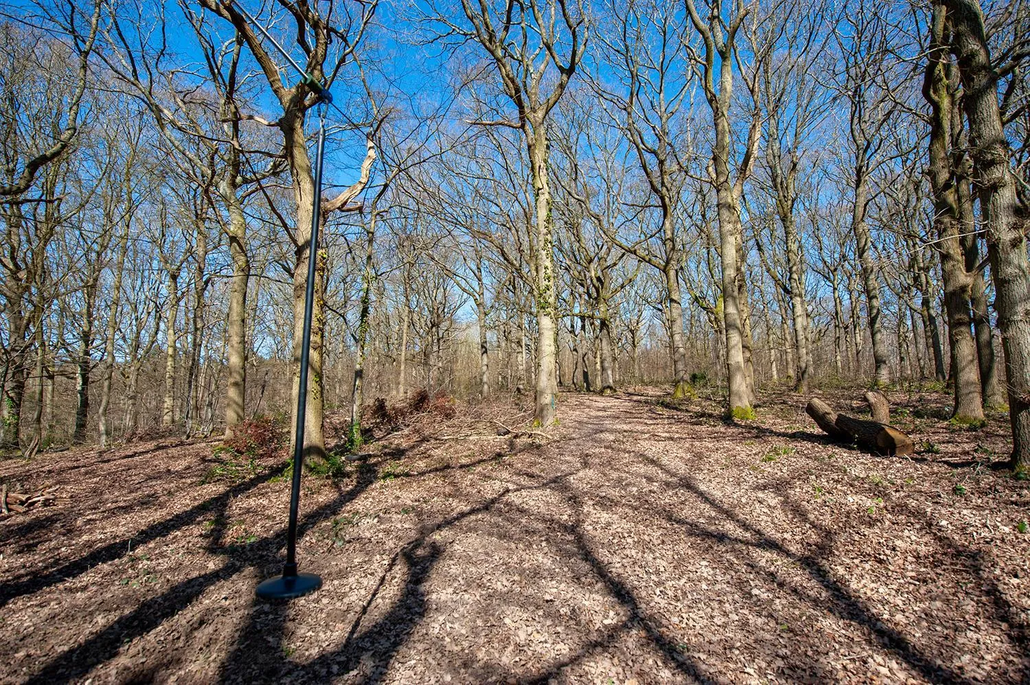 Area and facilities in Oakside Tree Tops