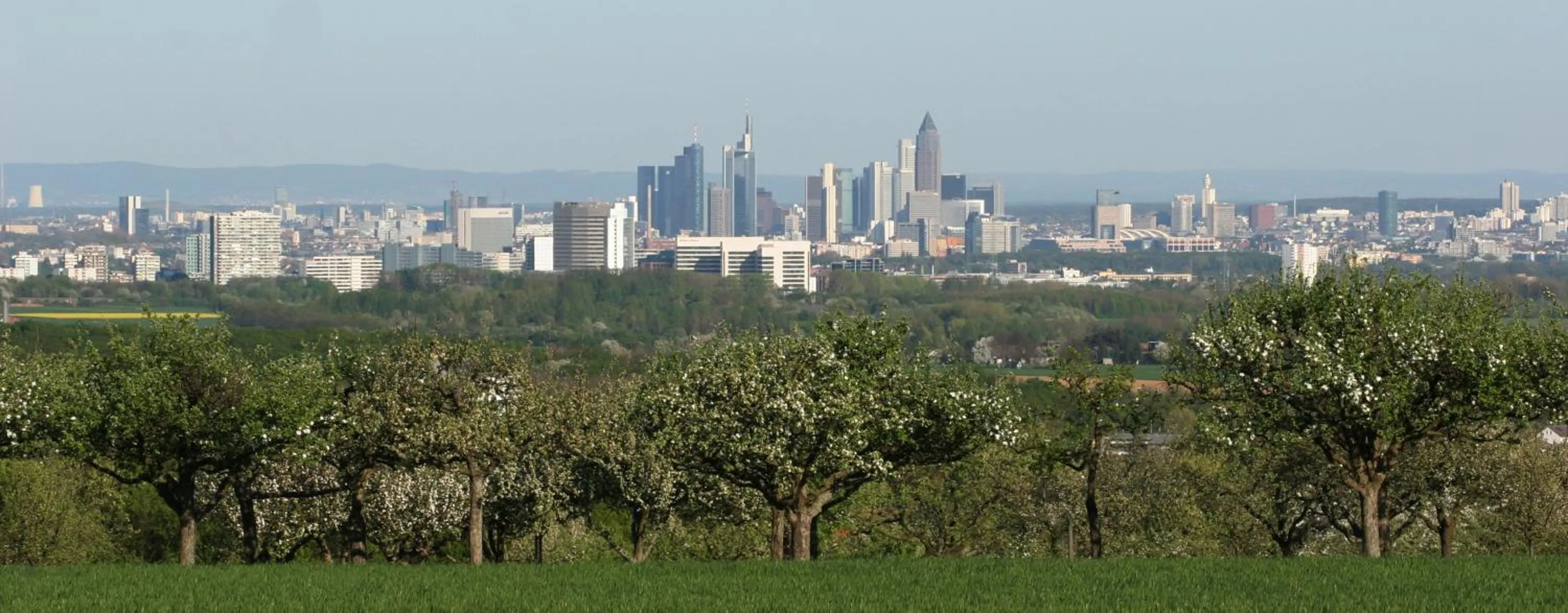 Neighbourhood in Waldhotel Bad Soden