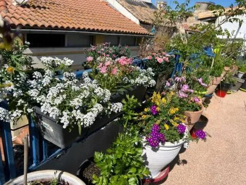 Balcony/Terrace in Loft Apartment , La Terrasse Centre Ville d'Arles,