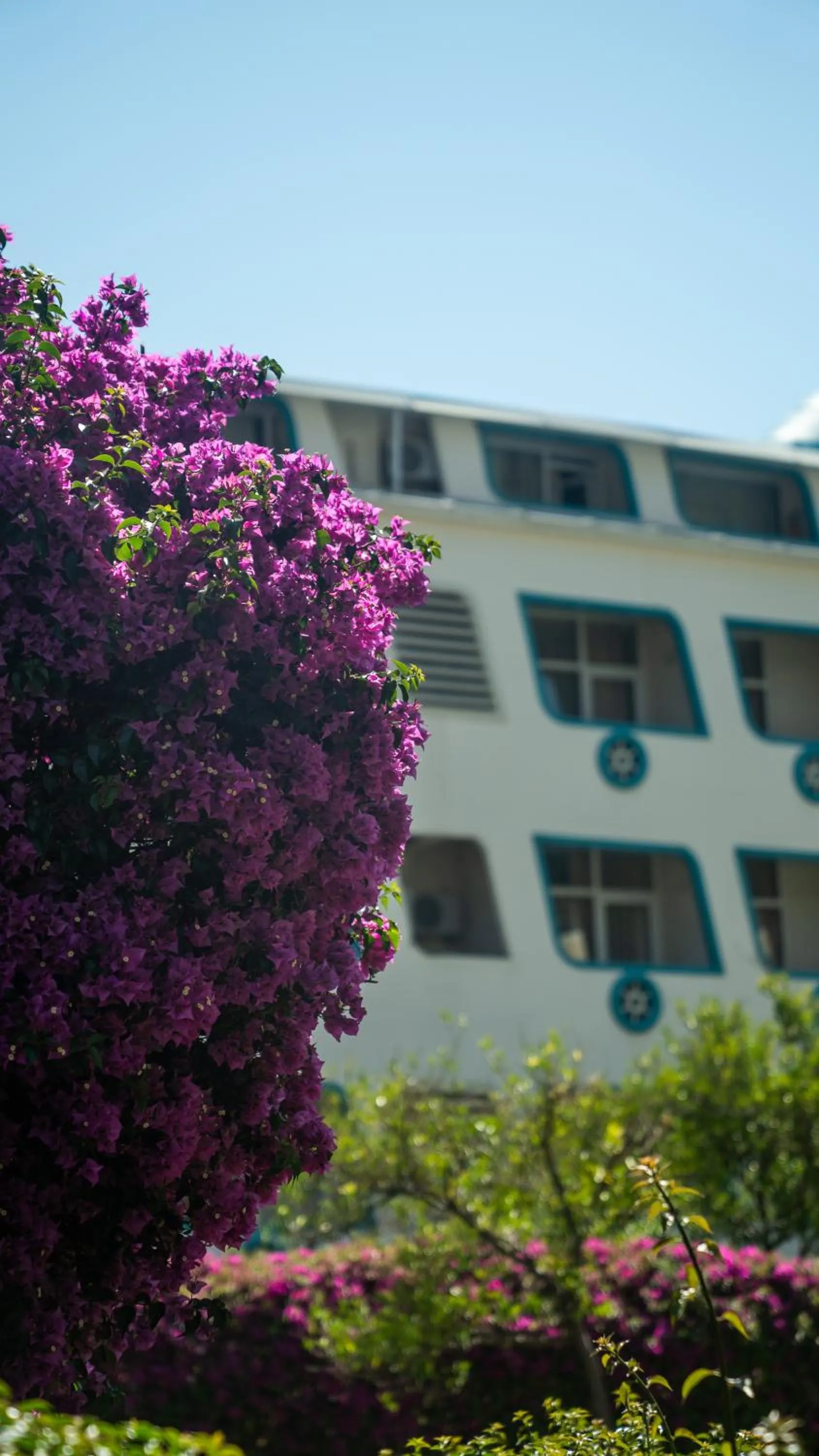 Property building in Miarosa Kemer Beach