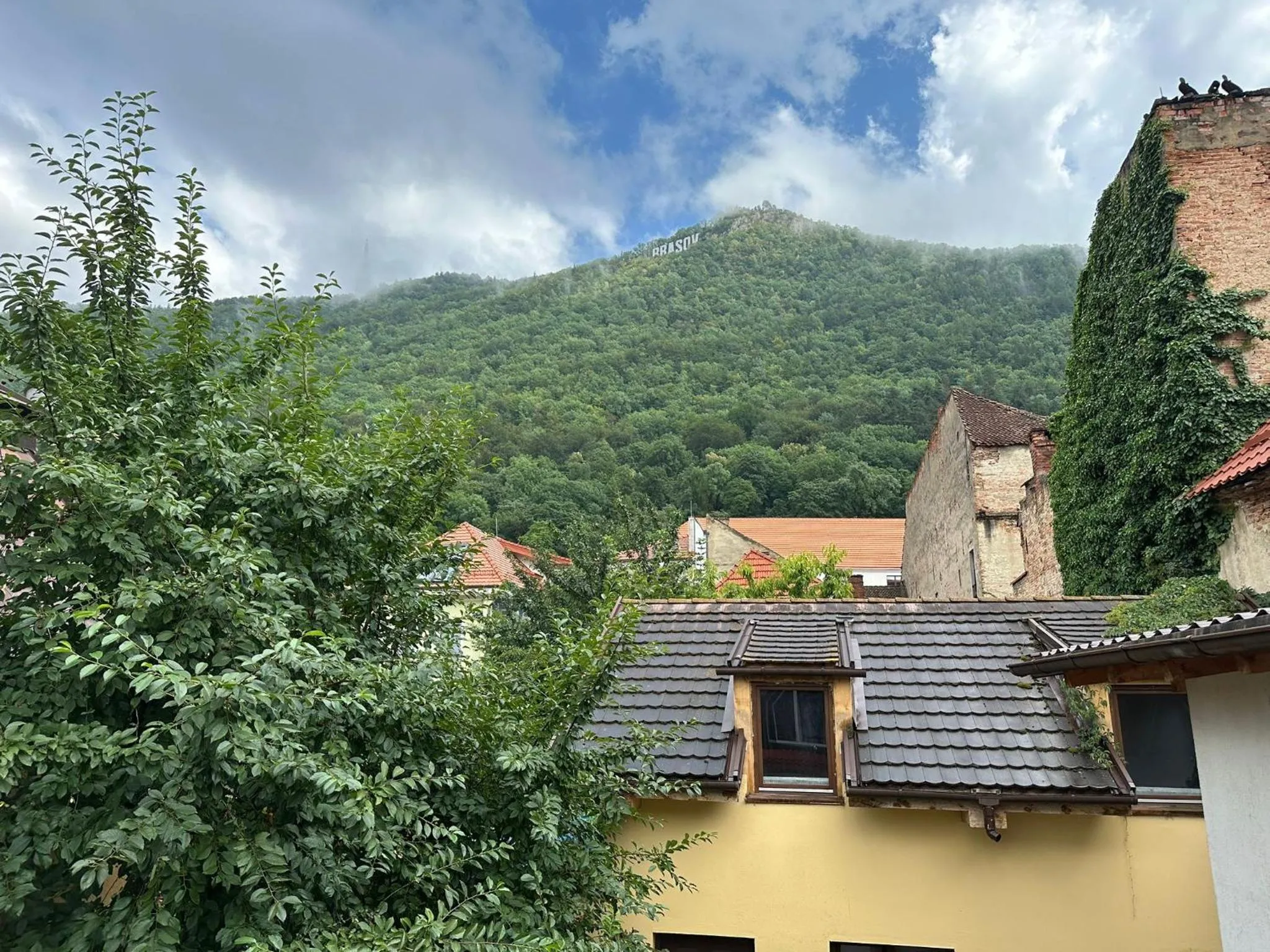 View (from property/room) in ALBERT RESIDENCE Brasov with complimentary parking and 10 percent Food and Drinks