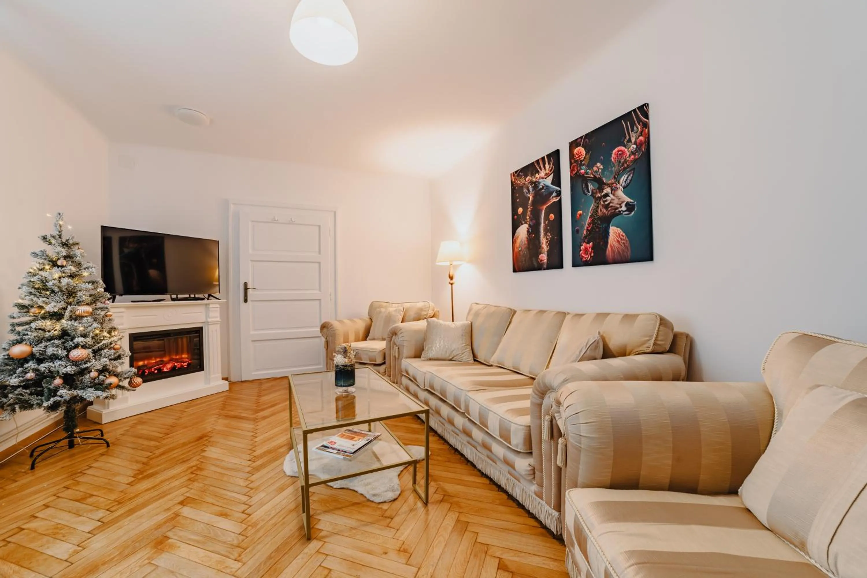 TV and multimedia in ALBERT RESIDENCE Brasov with complimentary parking and 10 percent Food and Drinks