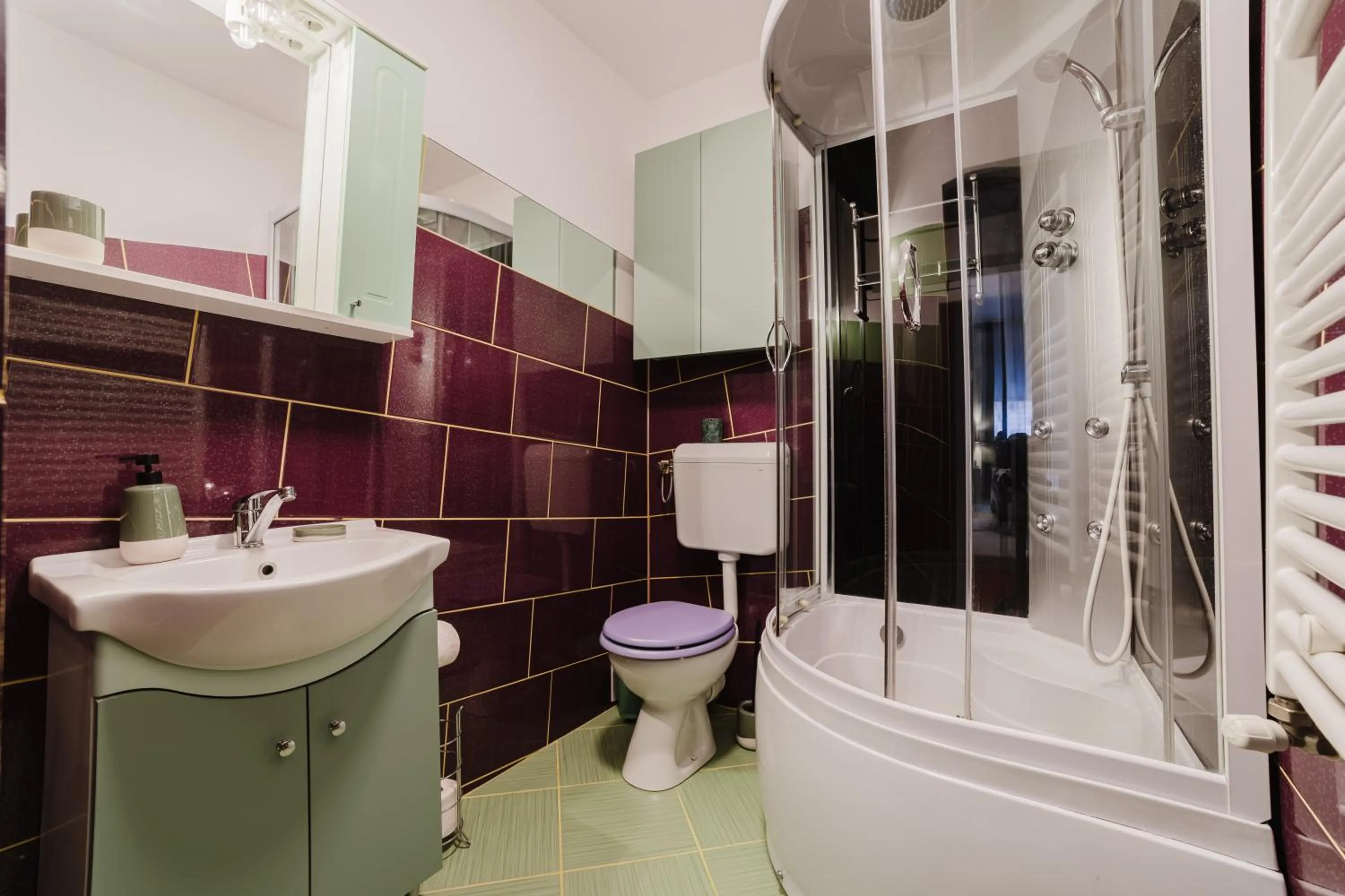Toilet in ALBERT RESIDENCE Brasov with complimentary parking and 10 percent Food and Drinks