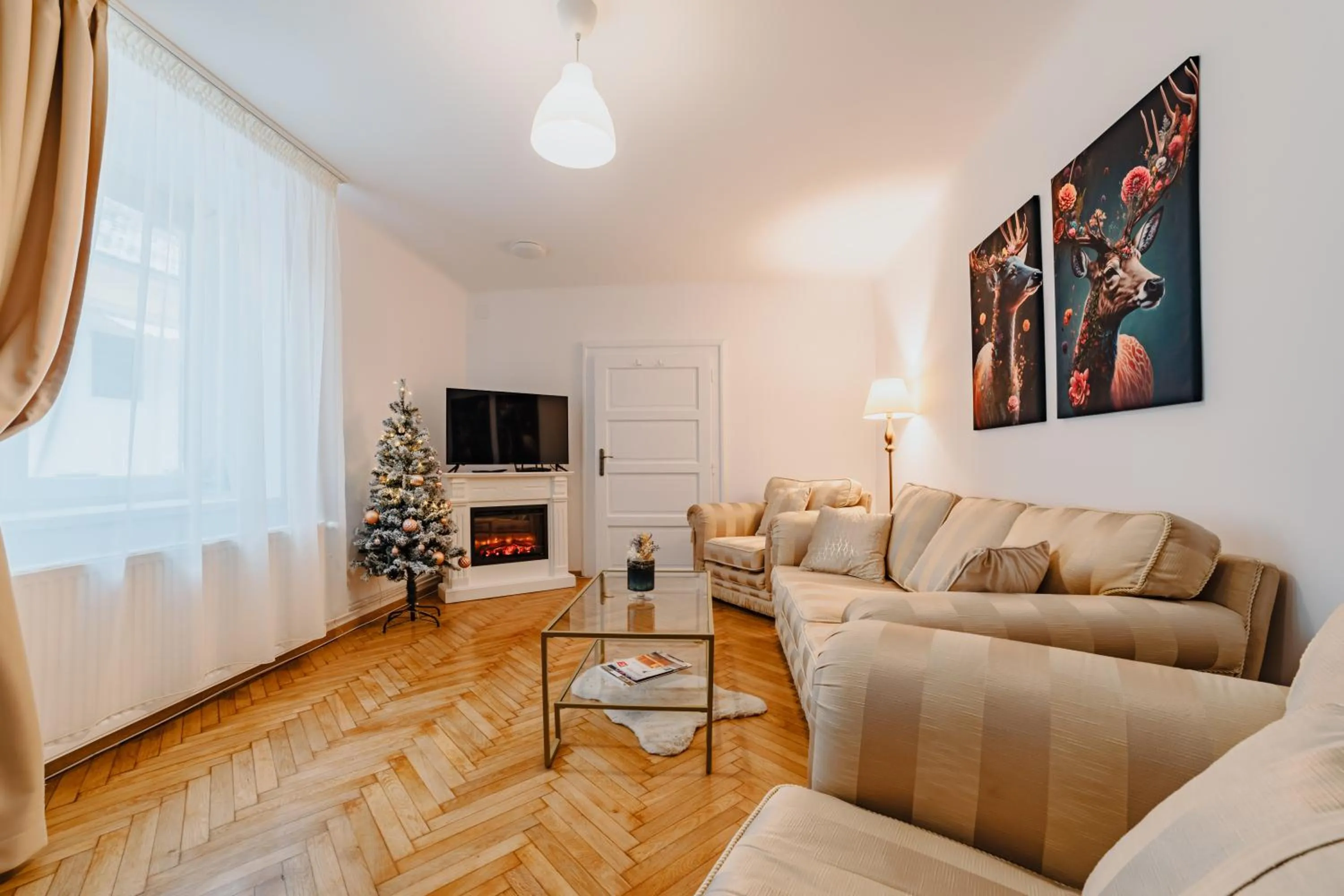 TV and multimedia in ALBERT RESIDENCE Brasov with complimentary parking and 10 percent Food and Drinks